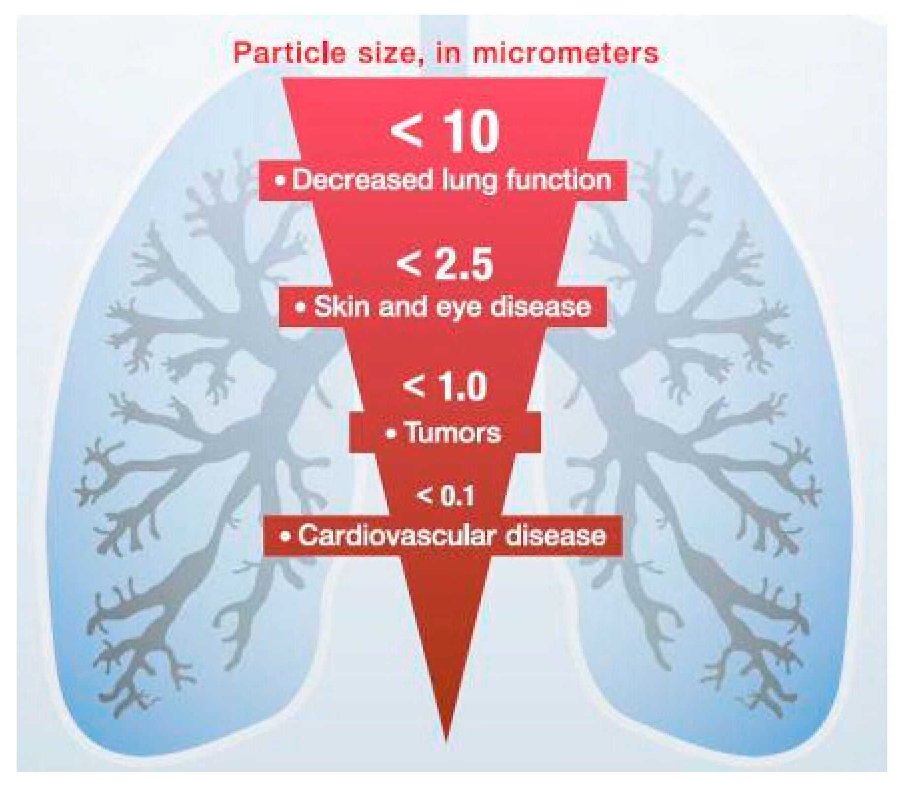 Sustainability 14 01552 g001