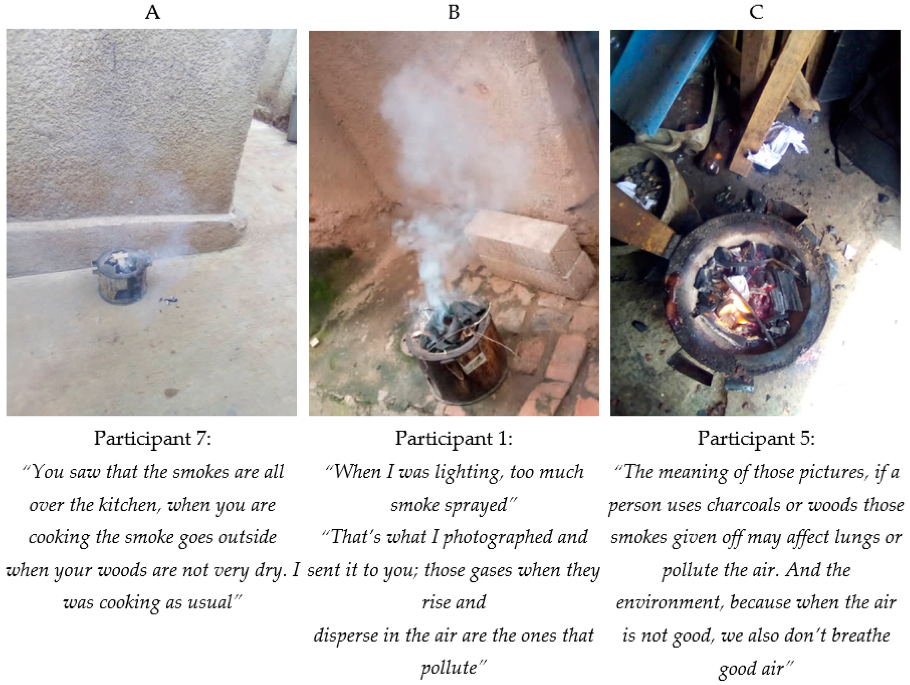 Sustainability 14 01608 g003