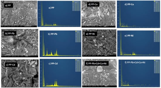 Sustainability 14 01685 g003 550