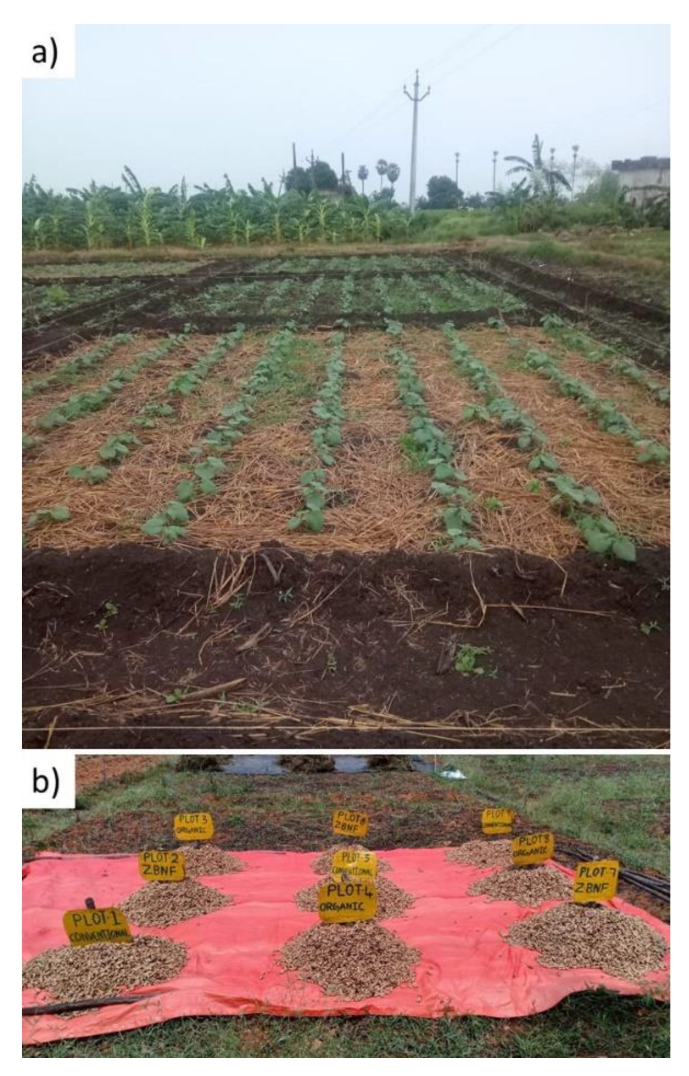 Sustainability 14 01689 g001 Sustainability 14 01689 g001