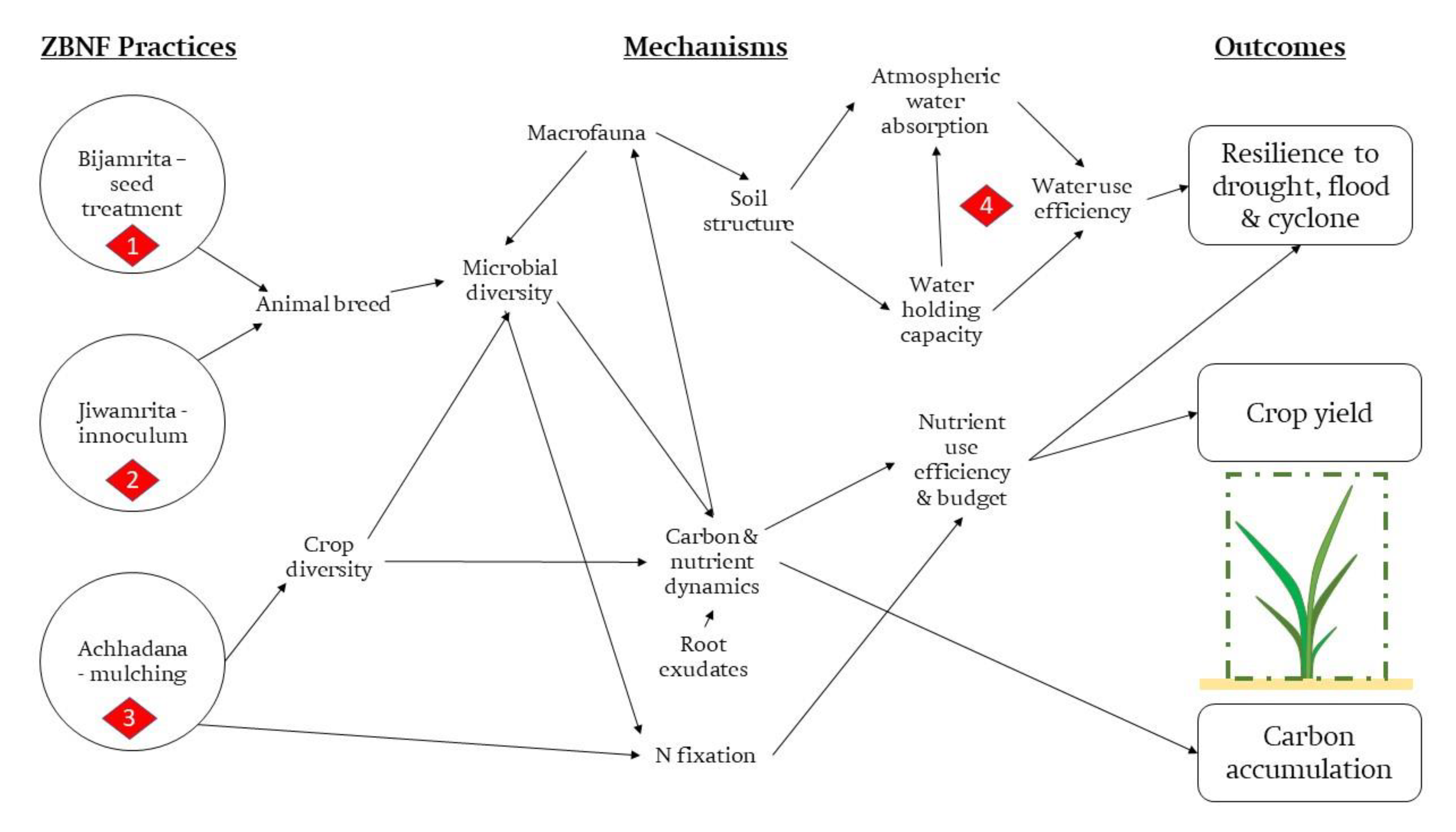 Sustainability 14 01689 g005 Sustainability 14 01689 g005