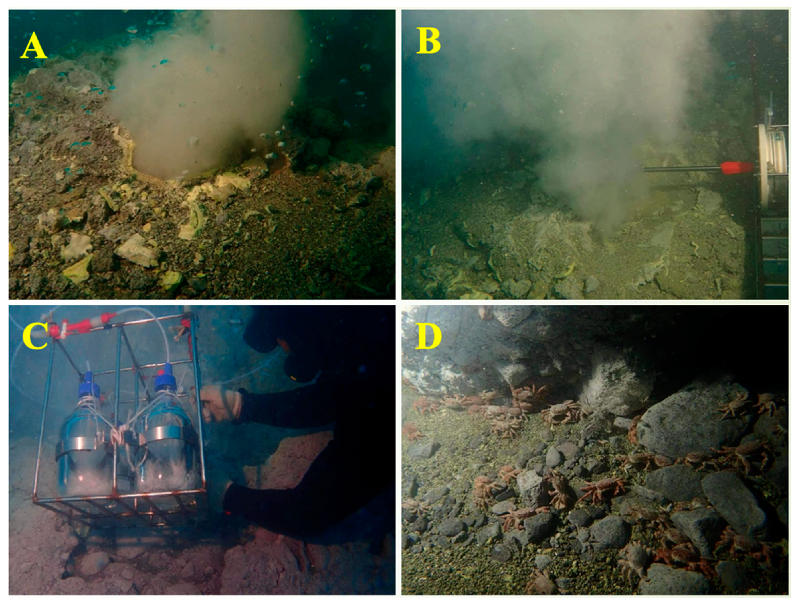 Sustainability 14 01754 g002