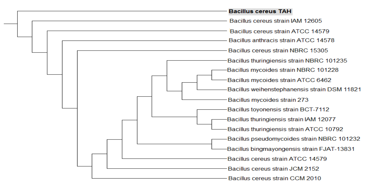 Sustainability 14 01784 g004