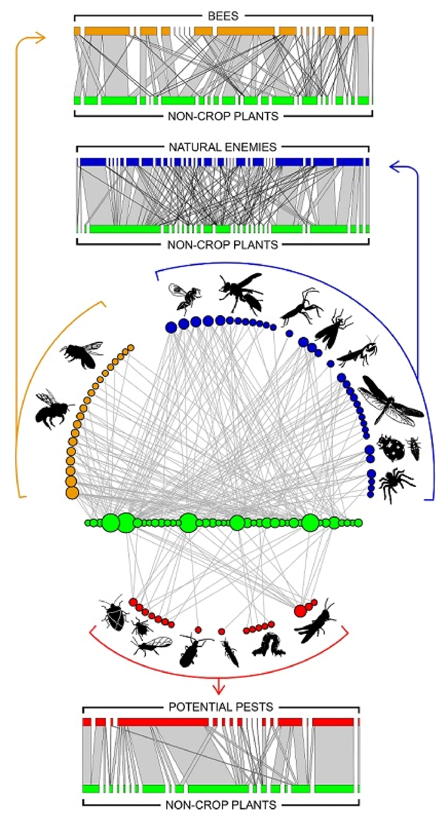 Sustainability 14 01903 g001