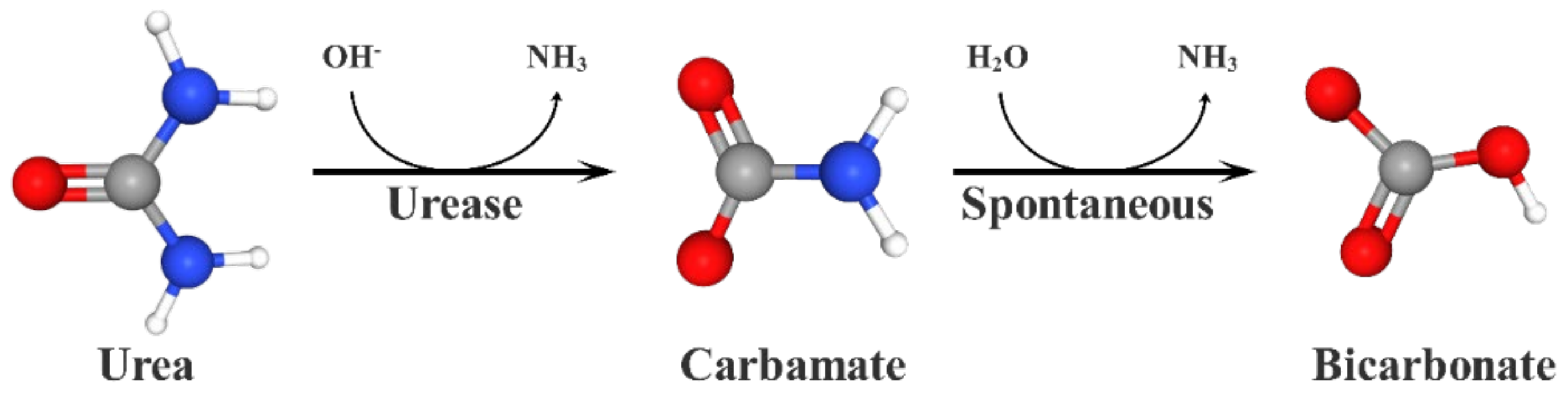 Sustainability 14 01920 g008