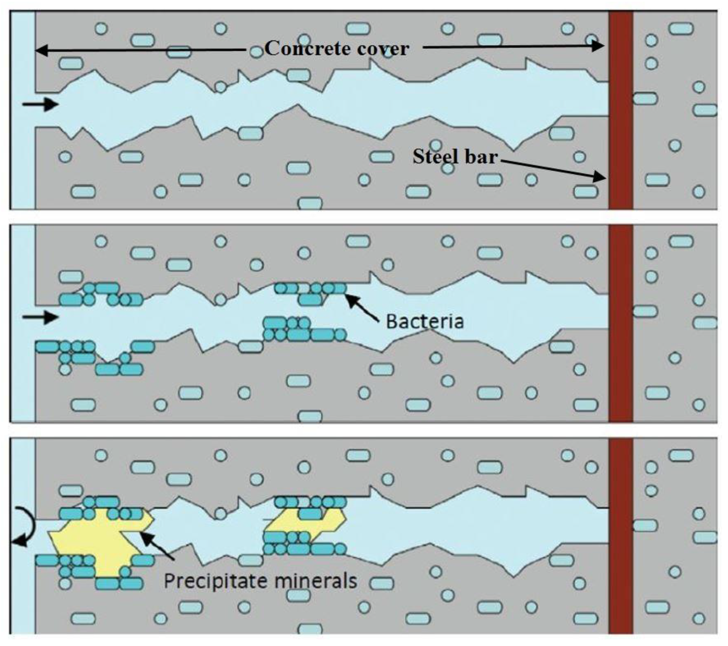 Sustainability 14 01980 g002