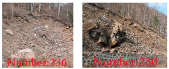 Sustainability 14 02074 i002