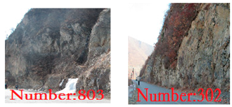 Sustainability 14 02074 i004