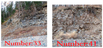 Sustainability 14 02074 i005