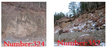 Sustainability 14 02074 i006