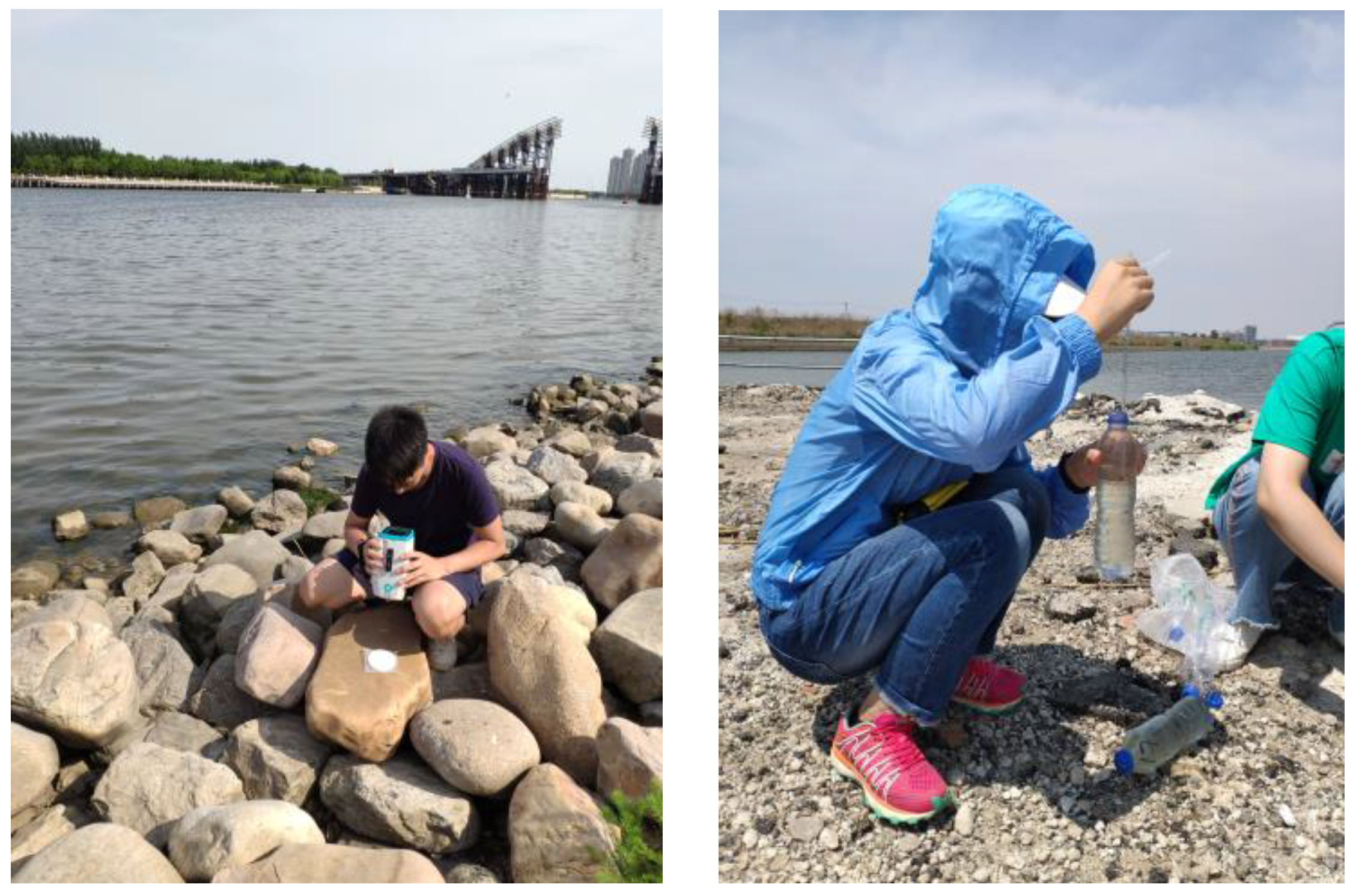 Sustainability 14 02221 g003