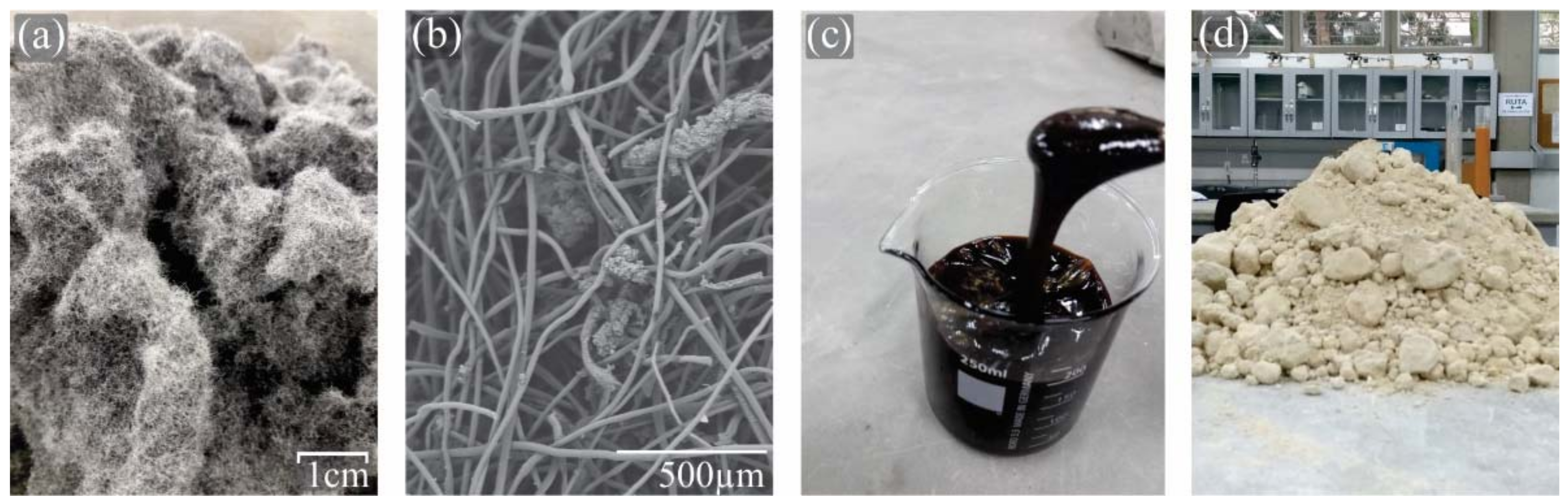 Sustainability 14 02239 g001