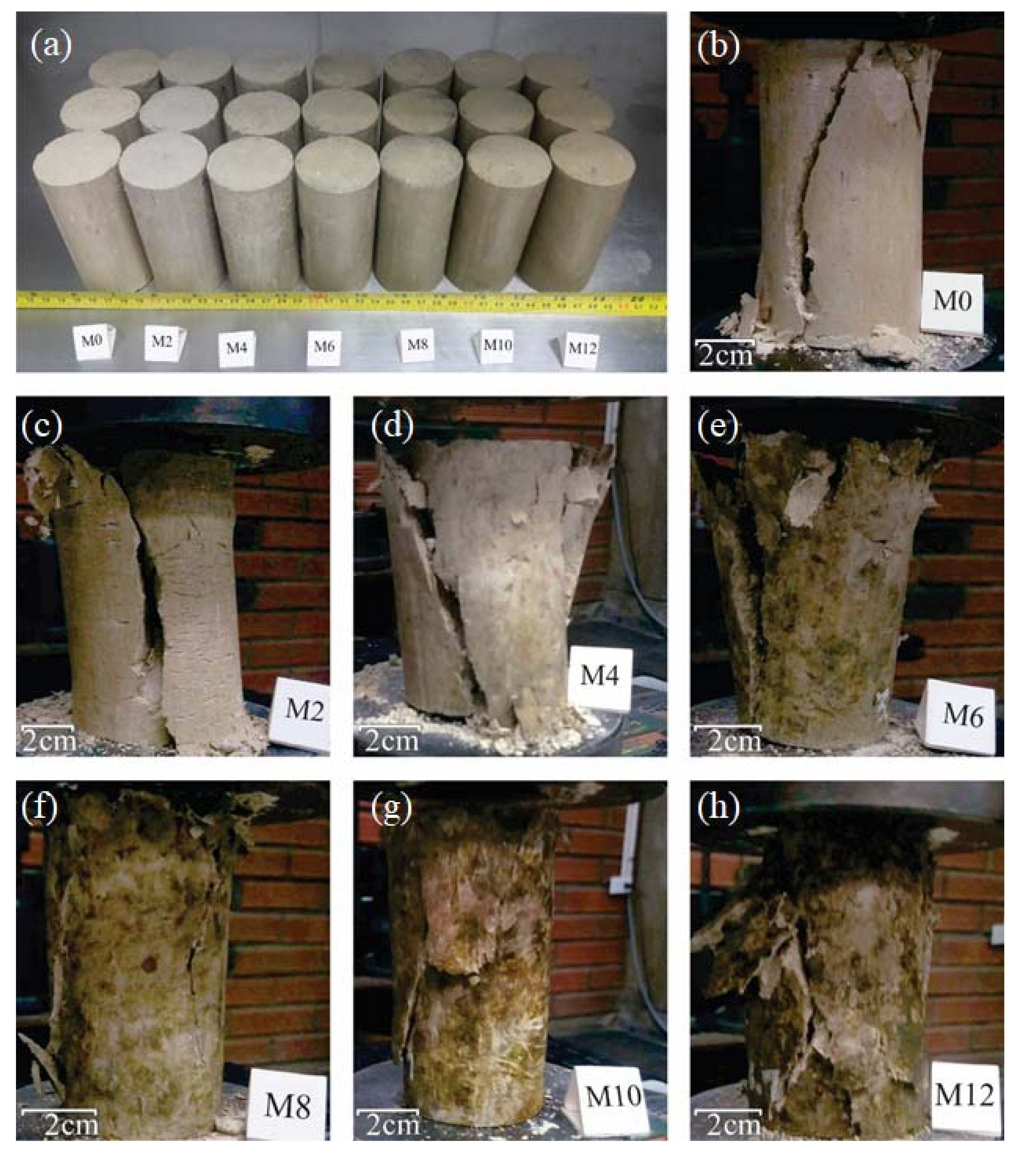 Sustainability 14 02239 g008