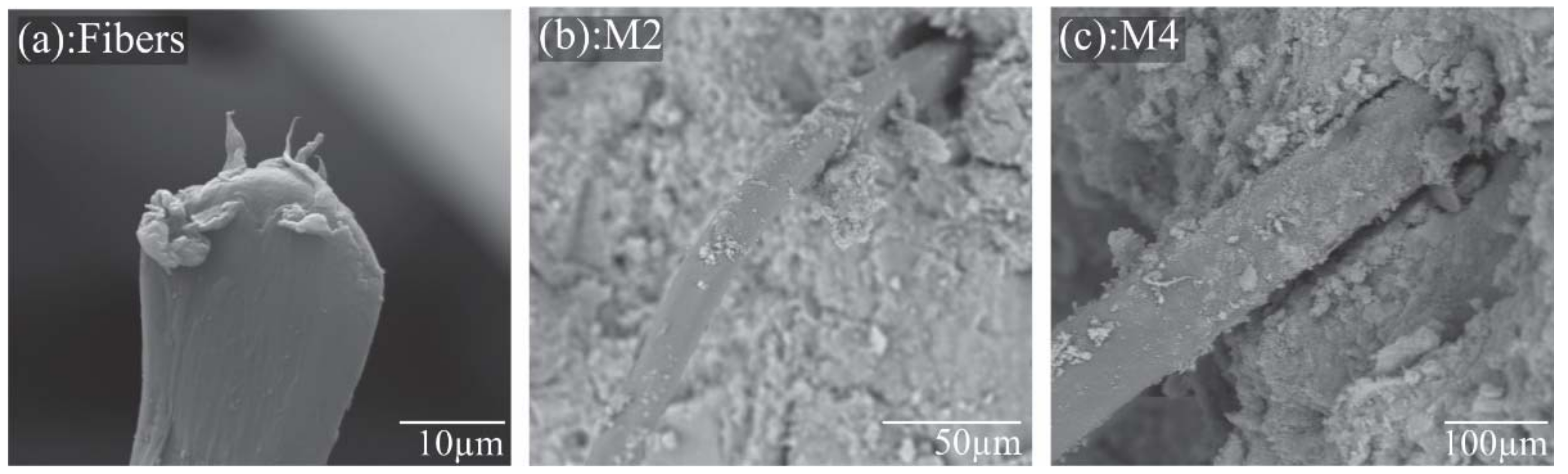 Sustainability 14 02239 g009