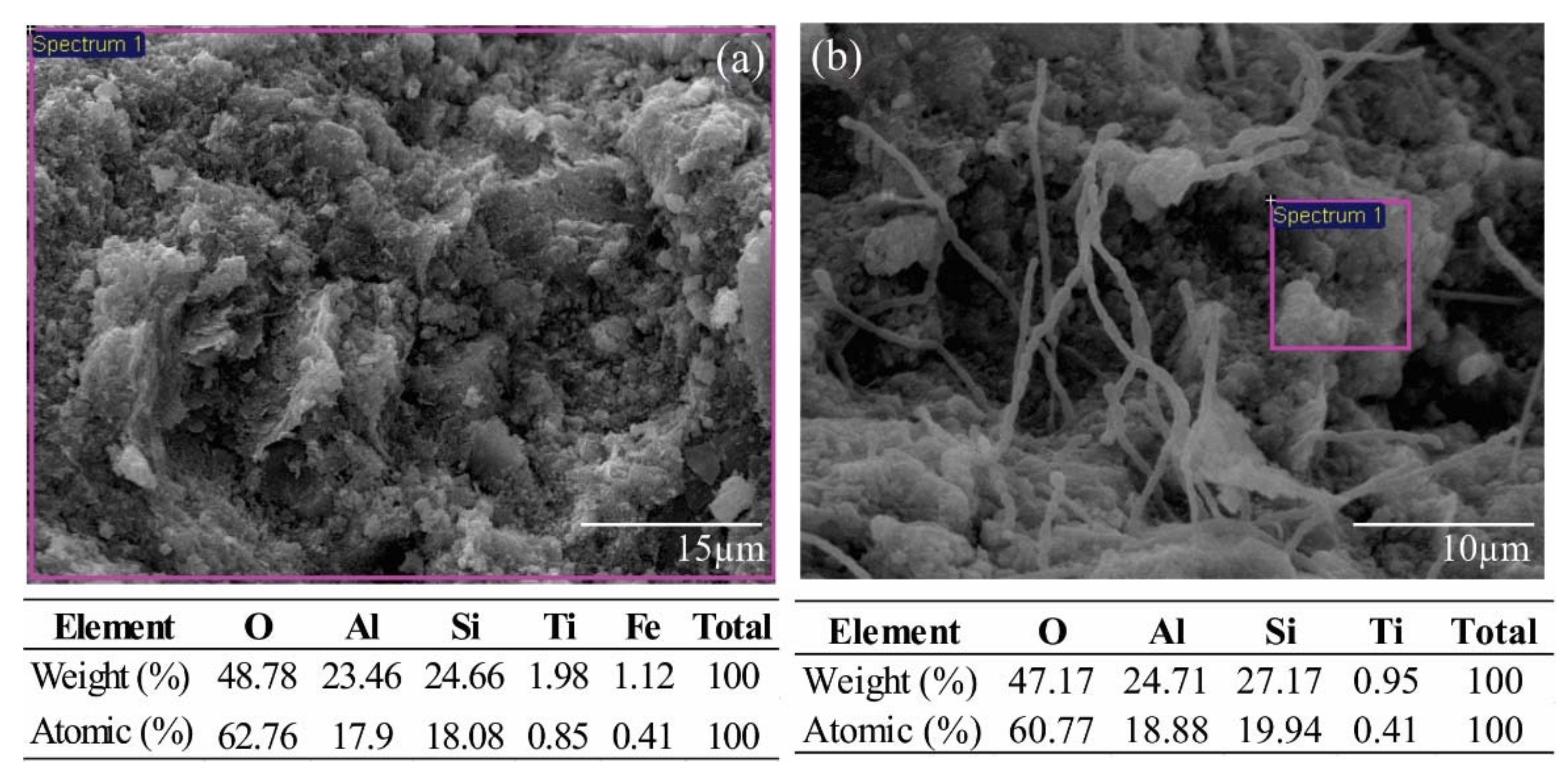 Sustainability 14 02239 g010