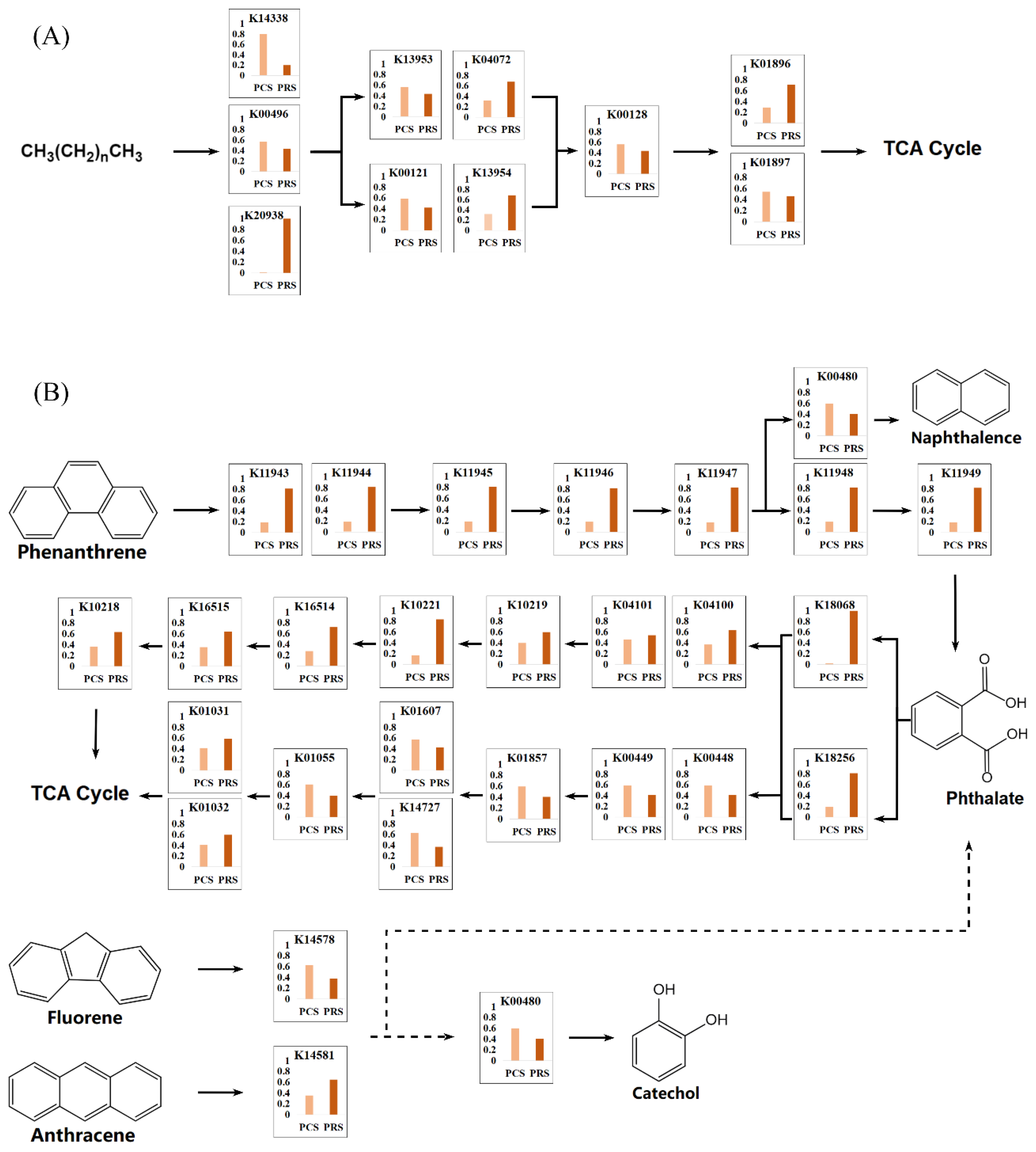 Sustainability 14 02248 g006