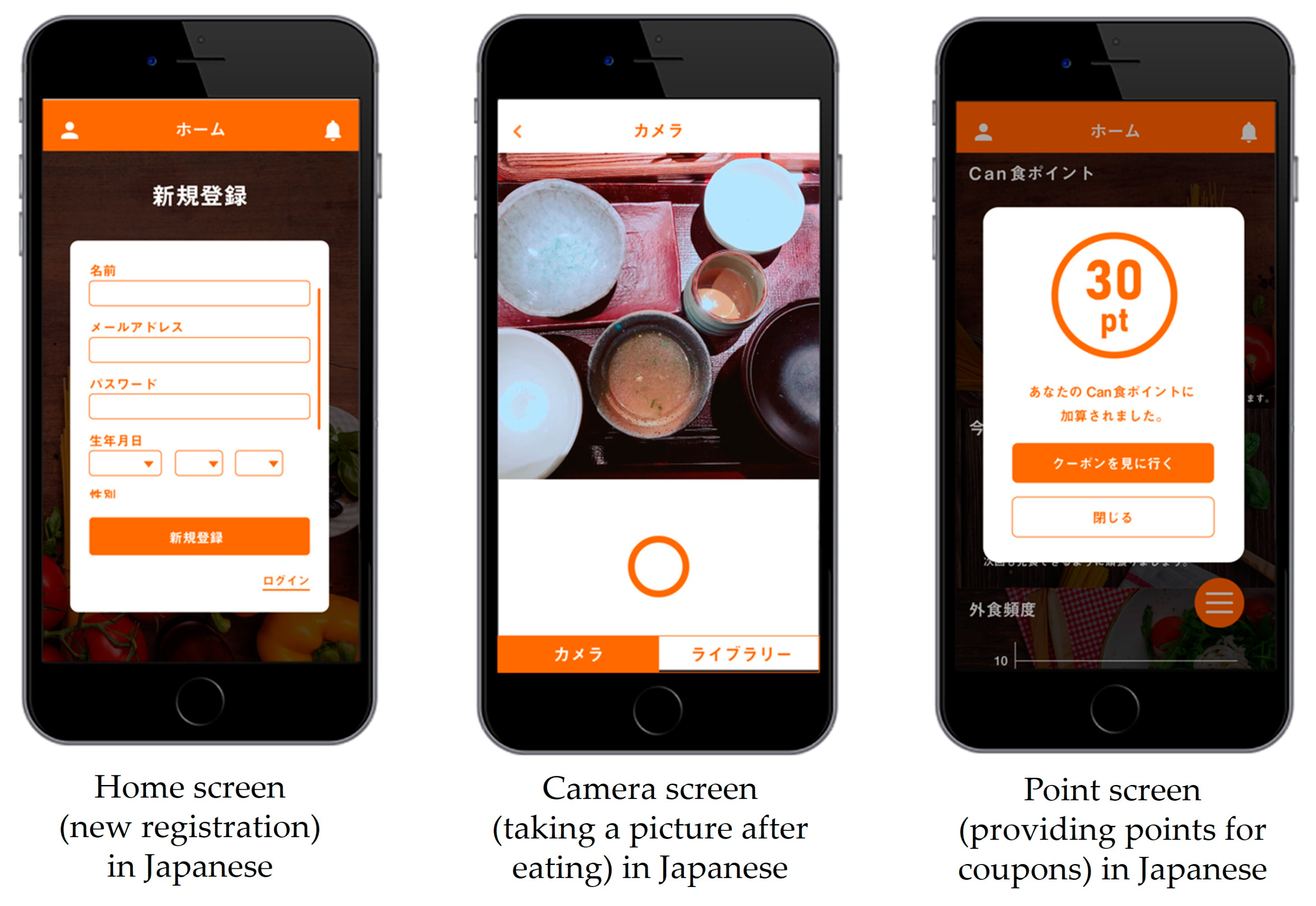 Sustainability 14 02266 g001