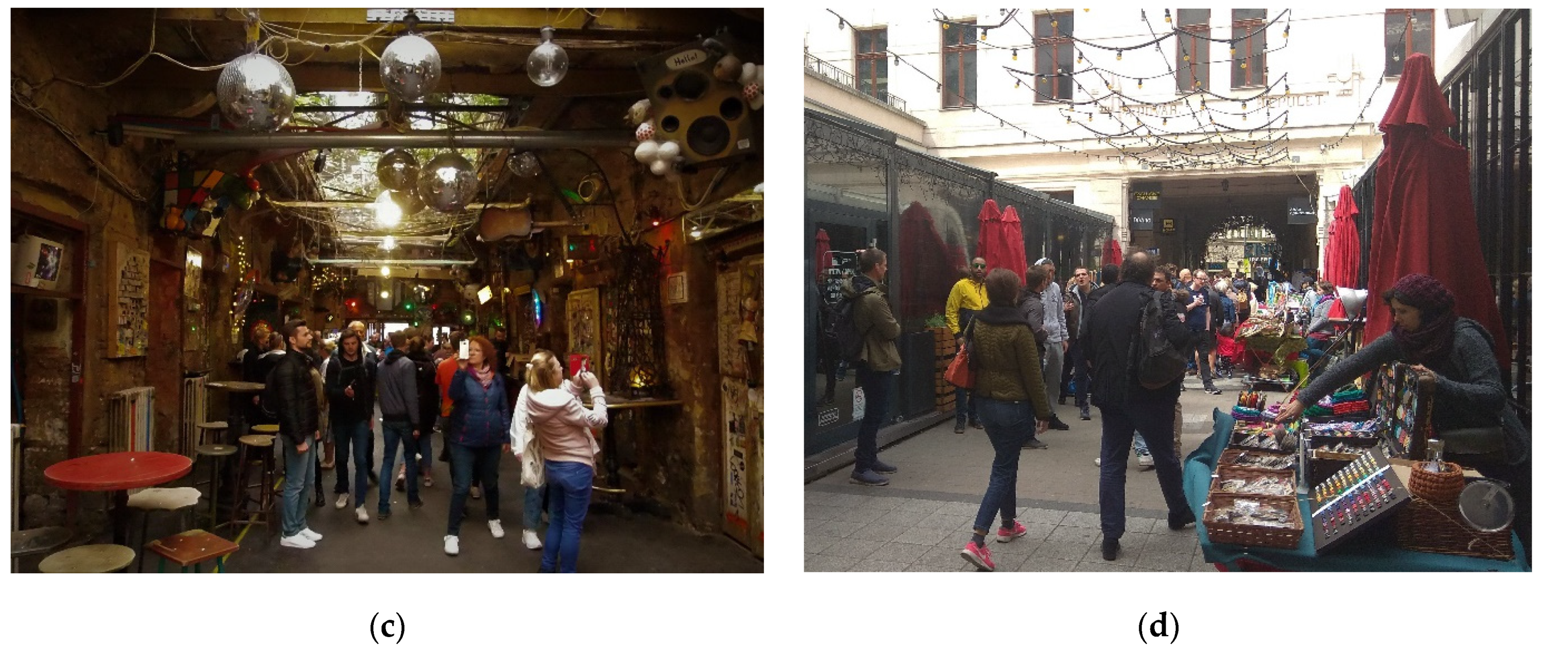 Sustainability 14 02268 g003b