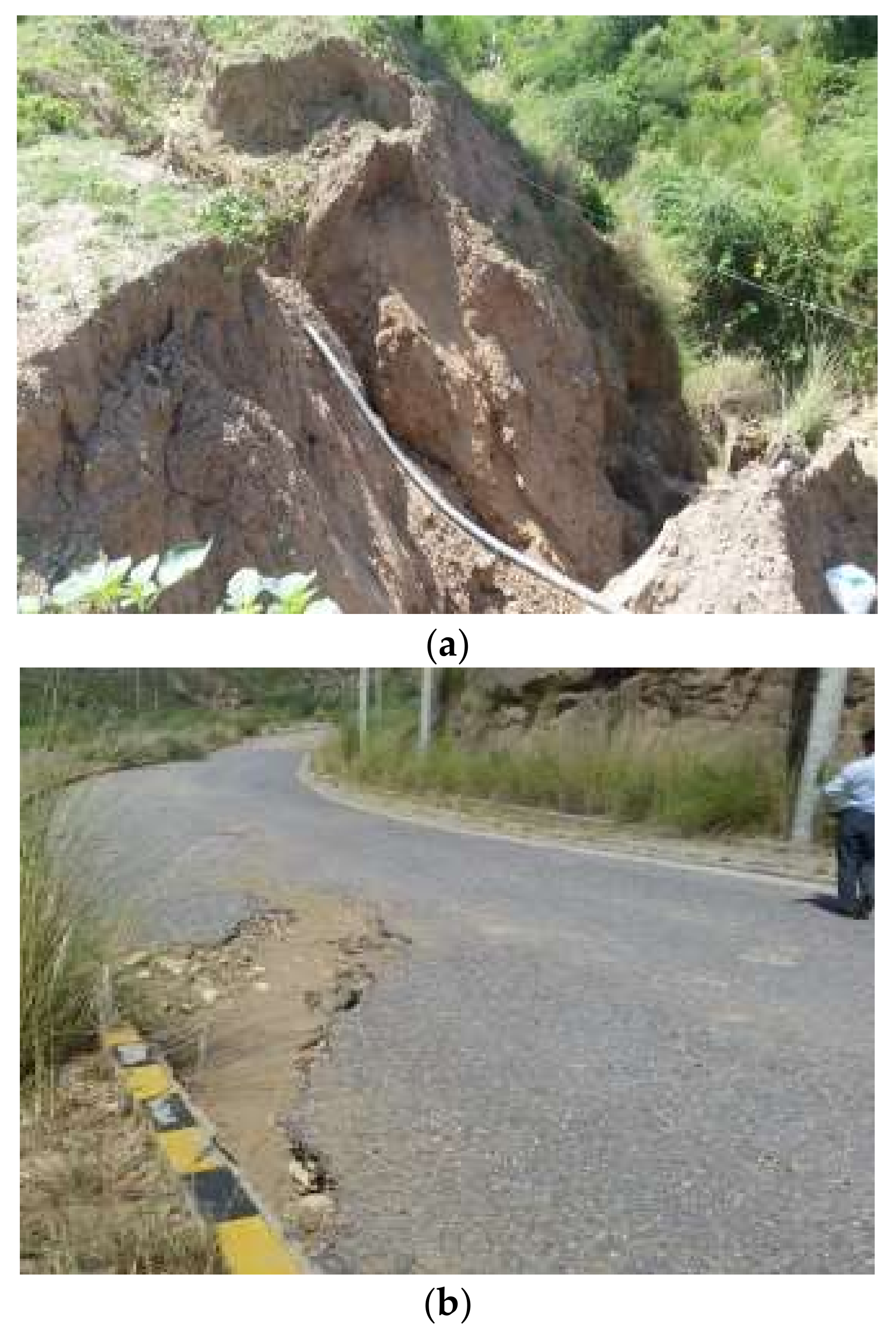 Sustainability 14 02314 g001a