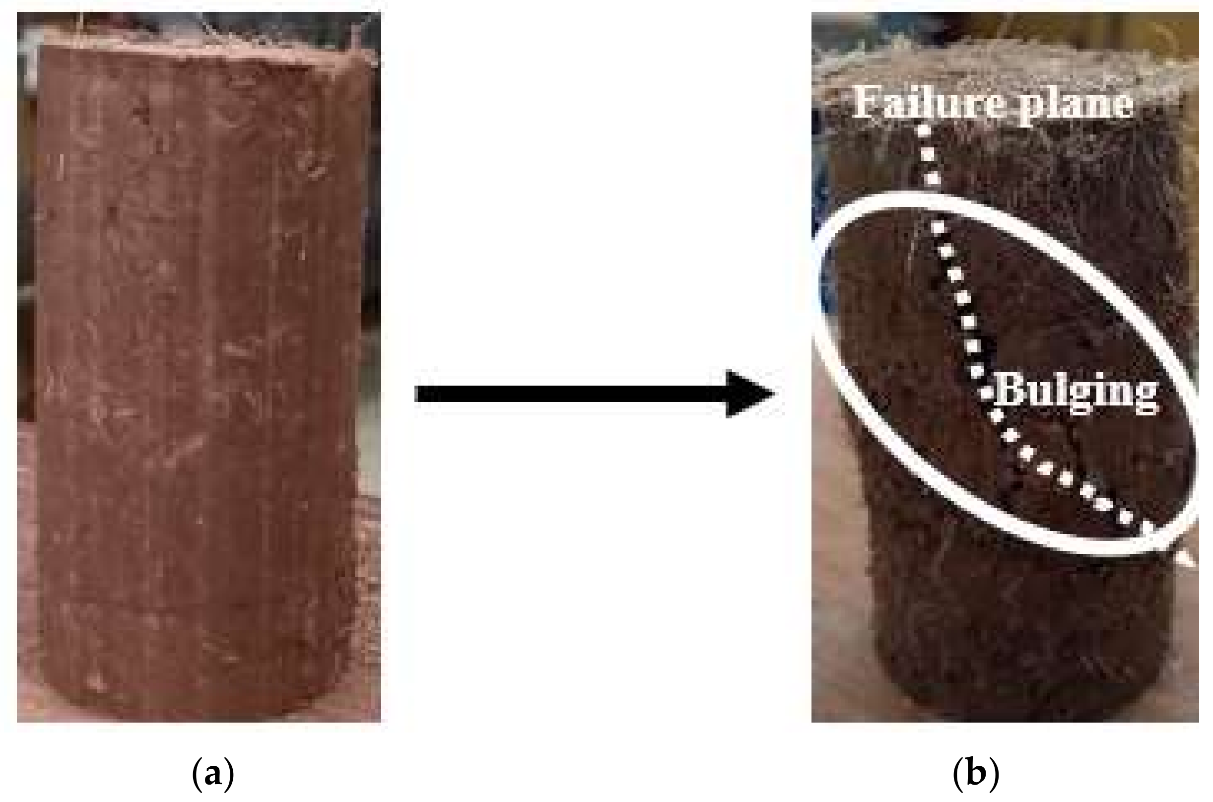 Sustainability 14 02314 g016