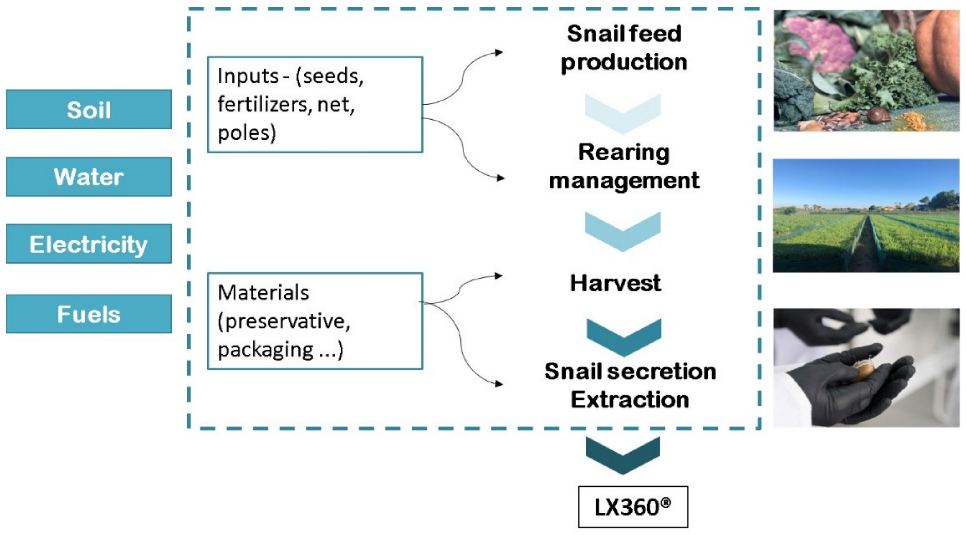 Sustainability 14 02367 g001