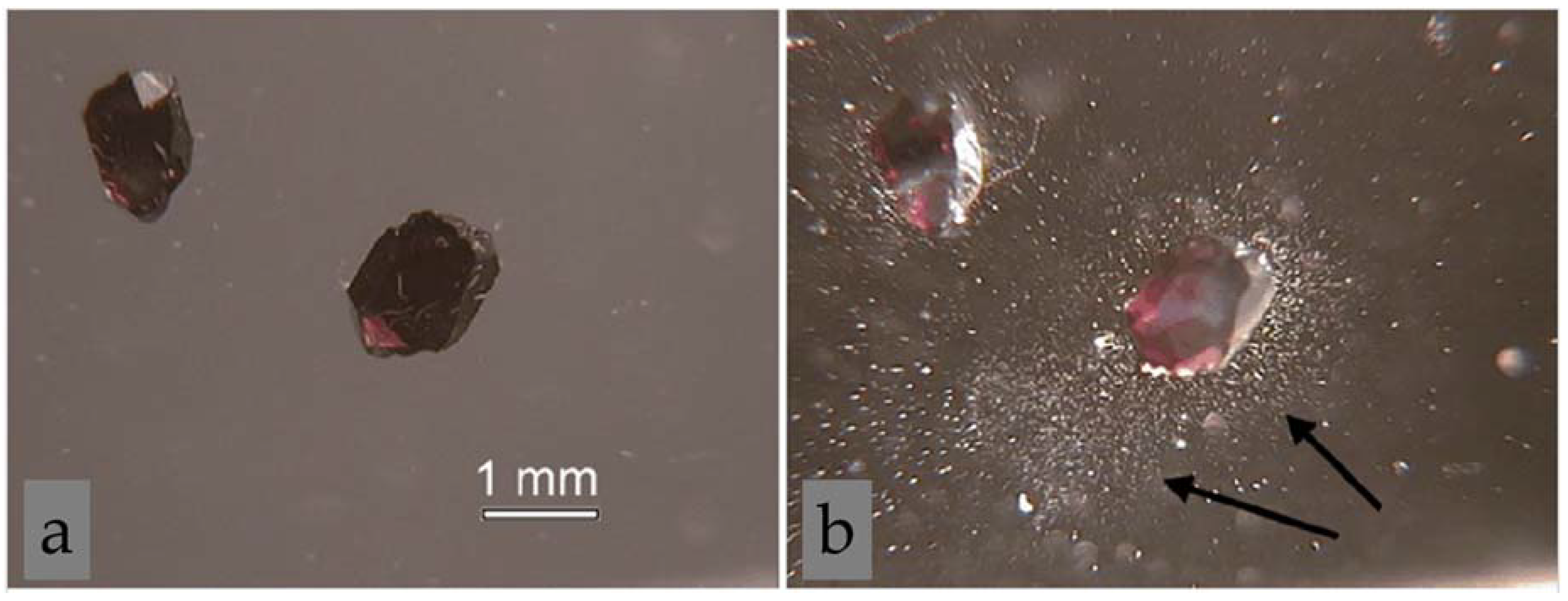 Sustainability 14 02445 g001