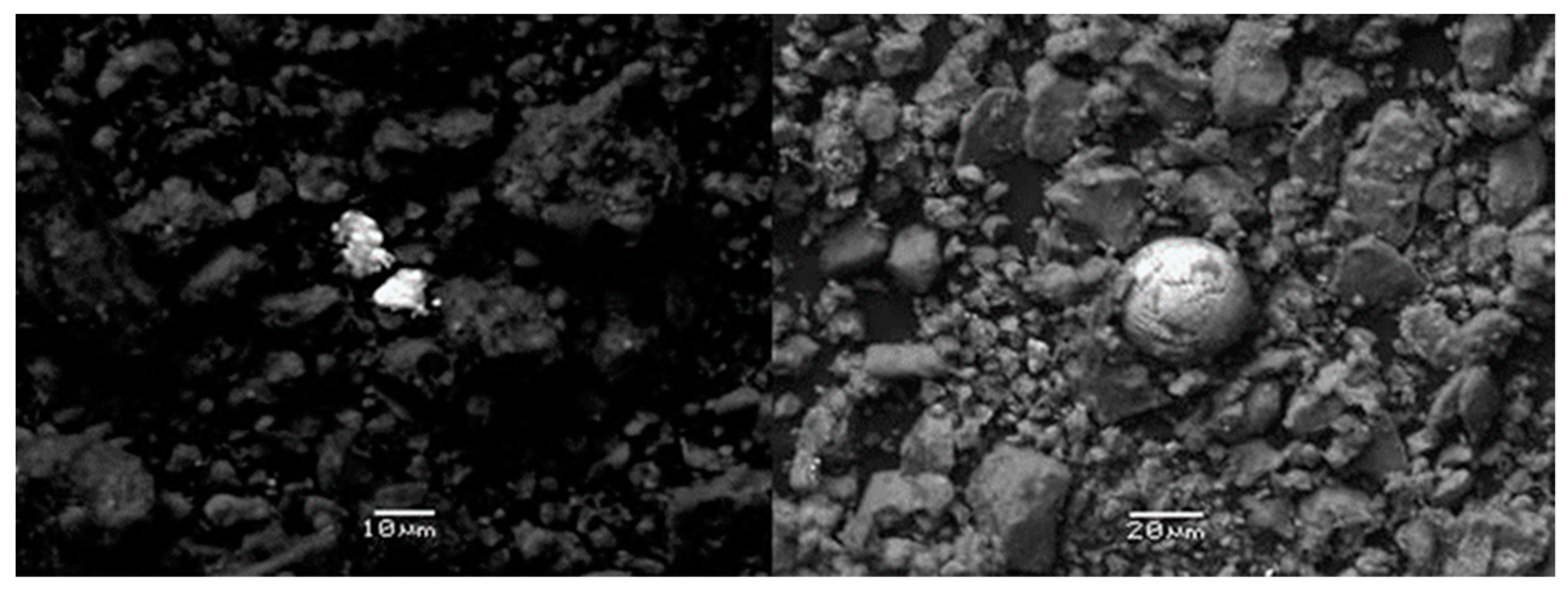 Sustainability 14 02448 g003