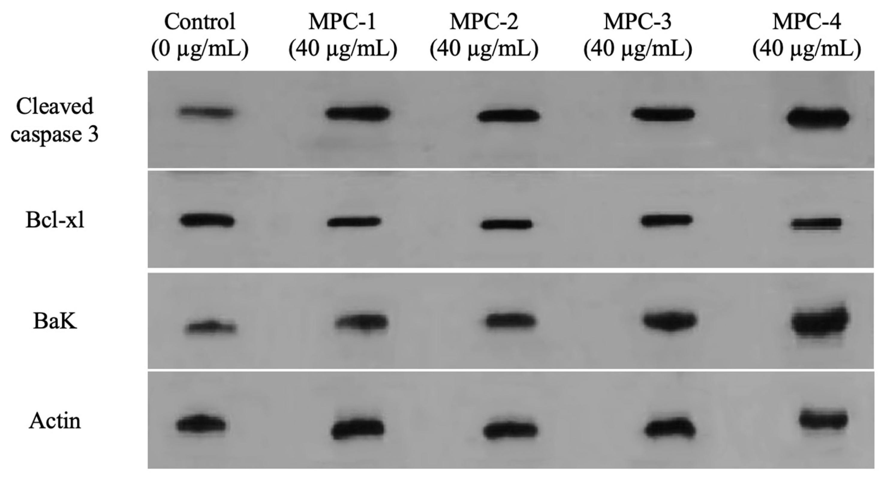 Sustainability 14 02458 g004 Sustainability 14 02458 g004