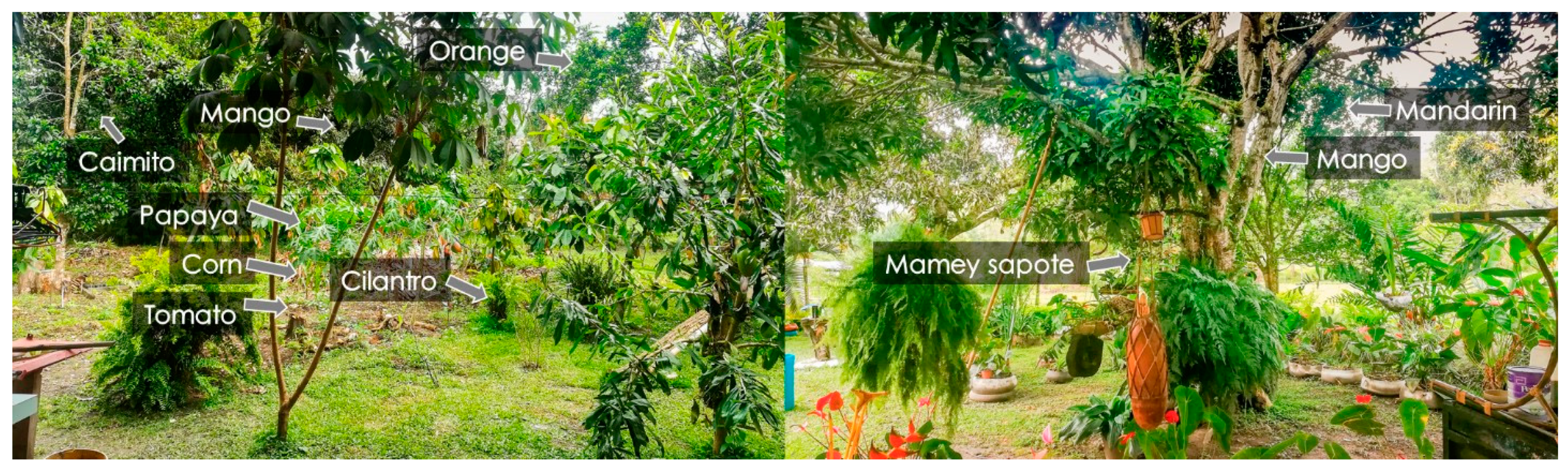 Sustainability 14 02504 g005