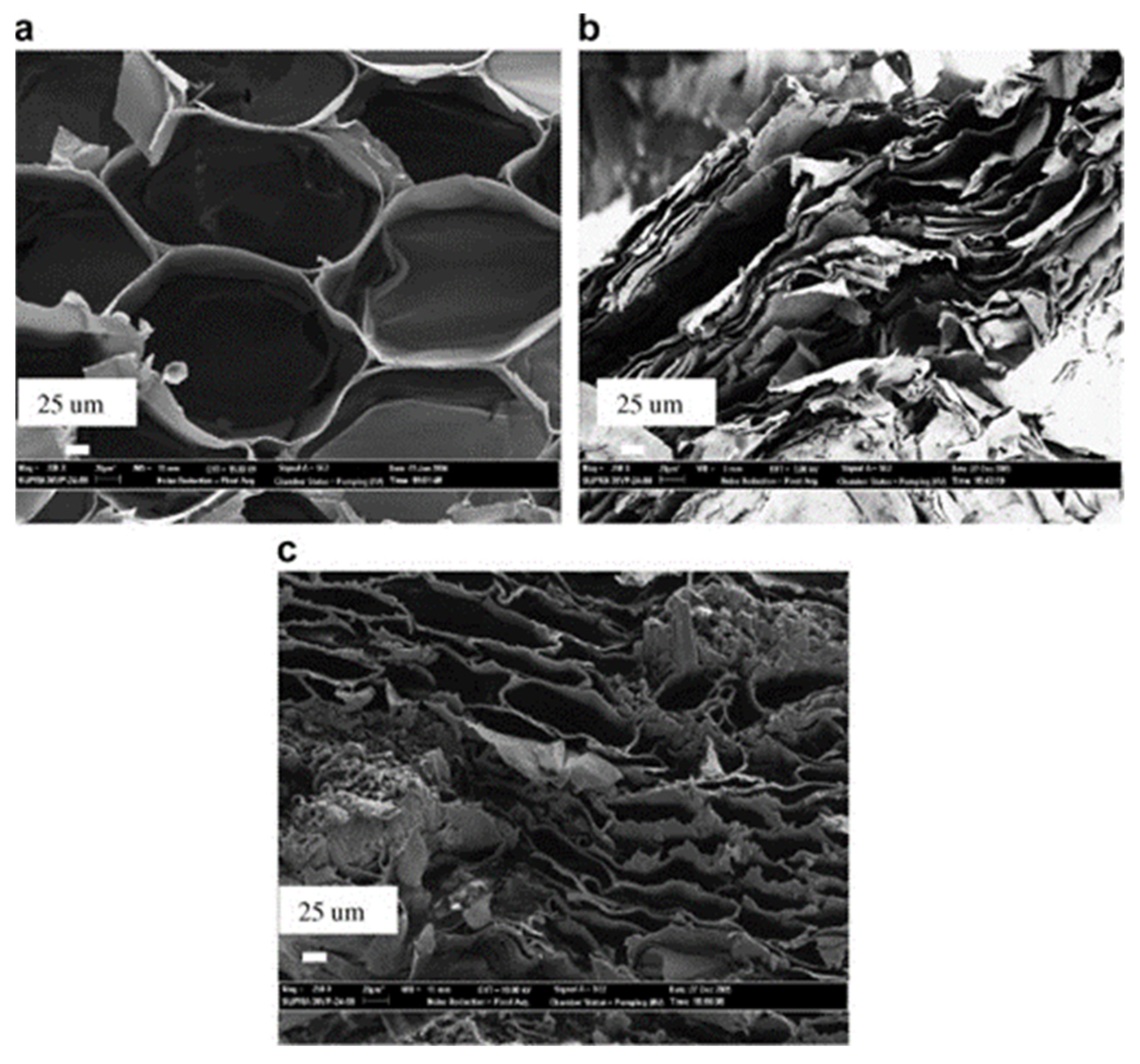 Sustainability 14 02508 g008