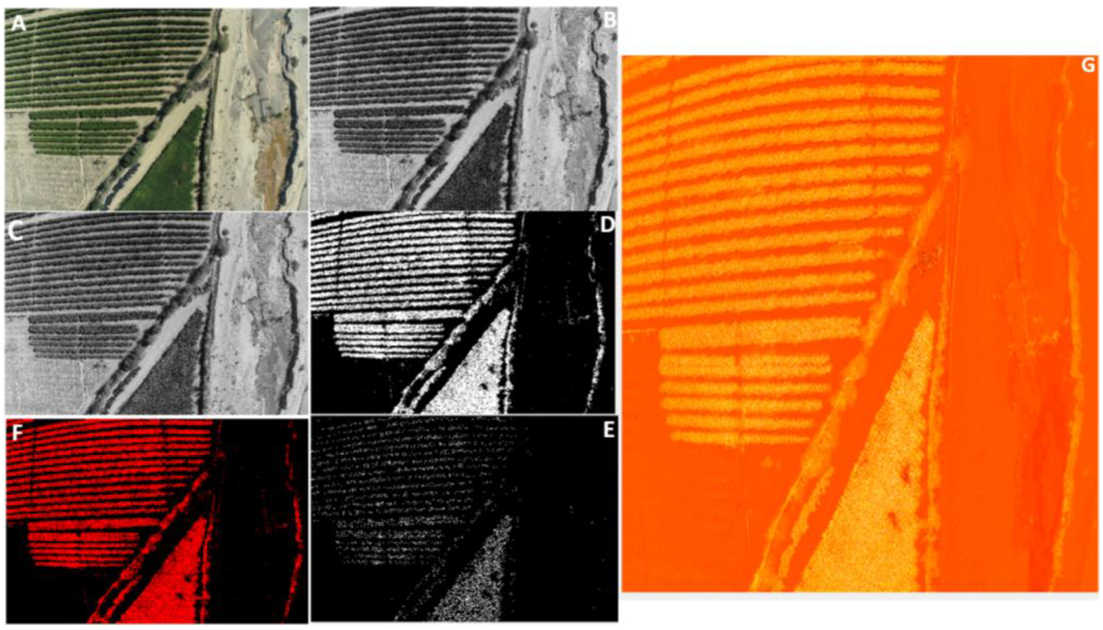Sustainability 14 02521 g021
