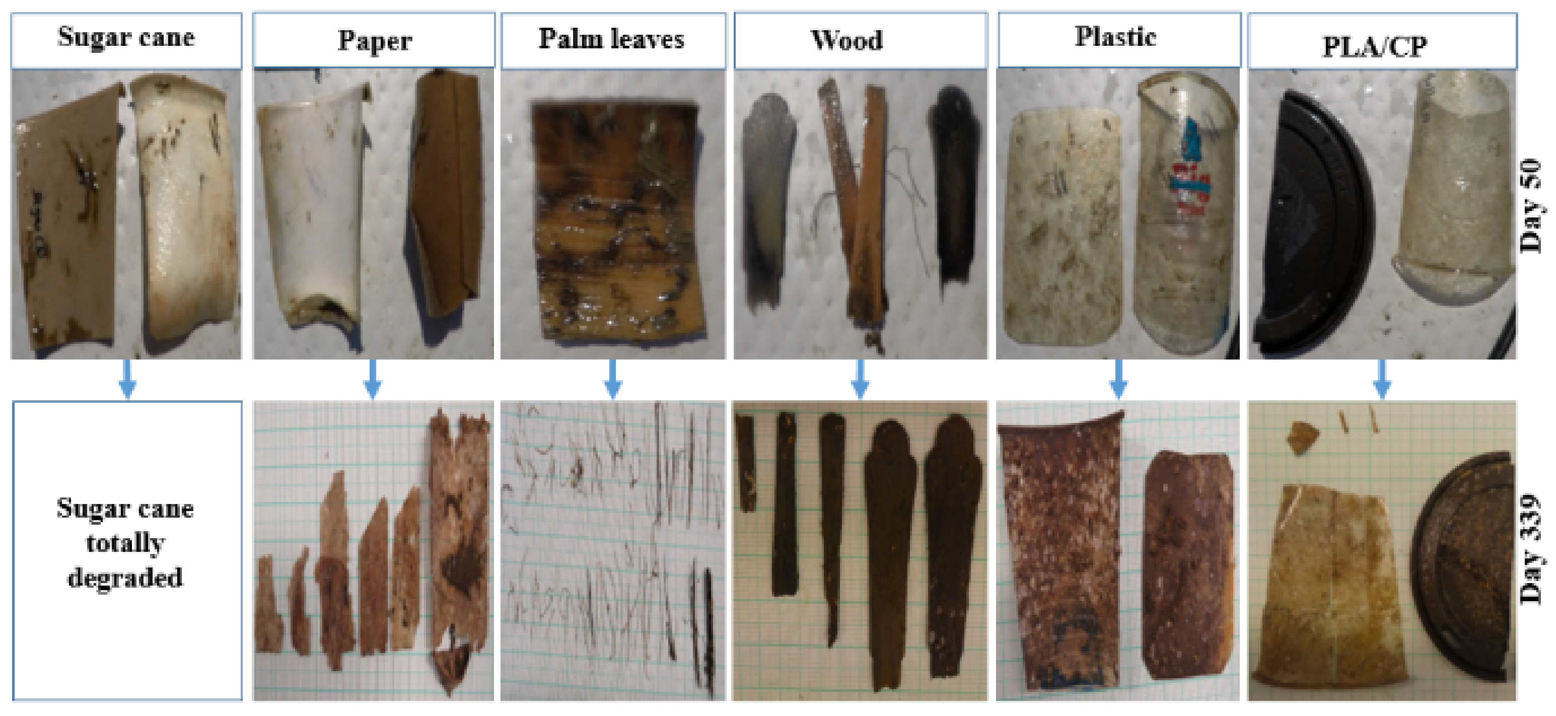 Sustainability 14 02544 g006