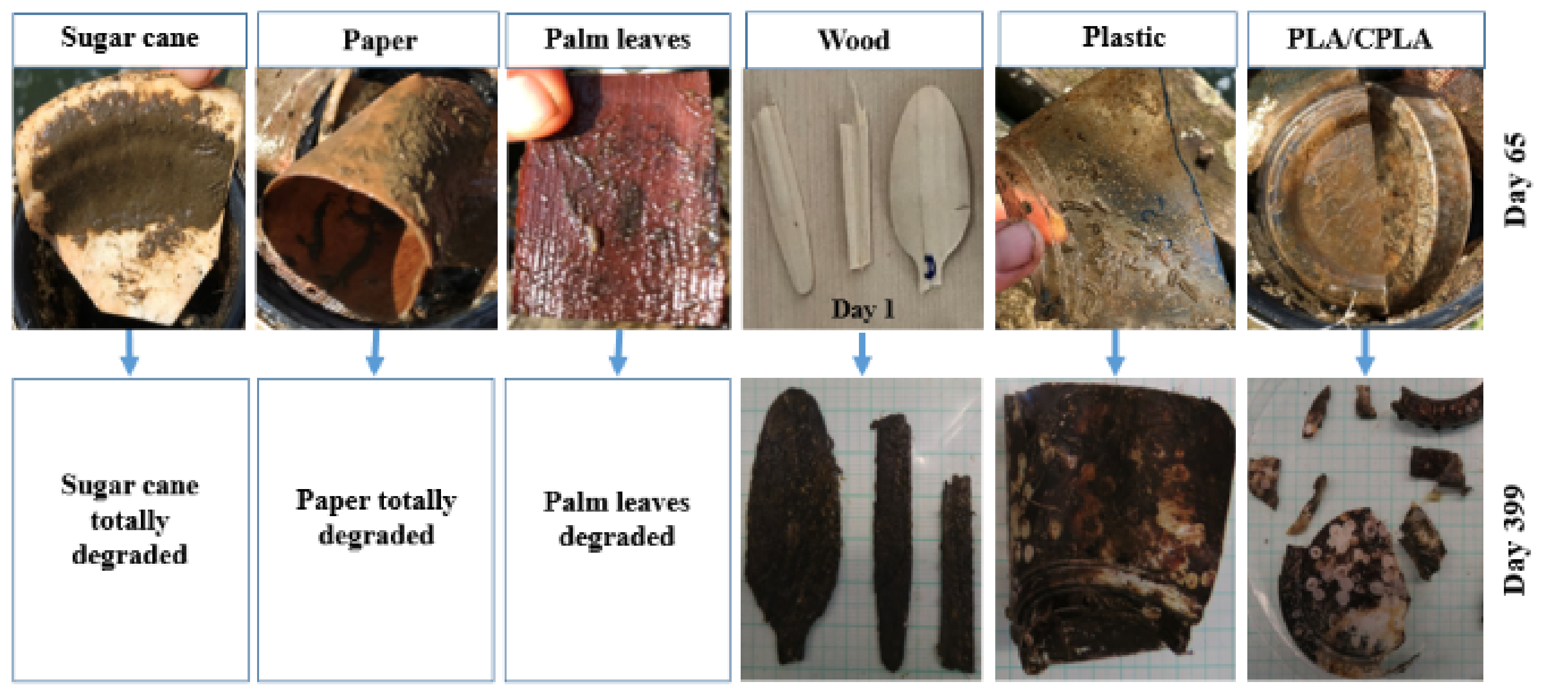 Sustainability 14 02544 g007