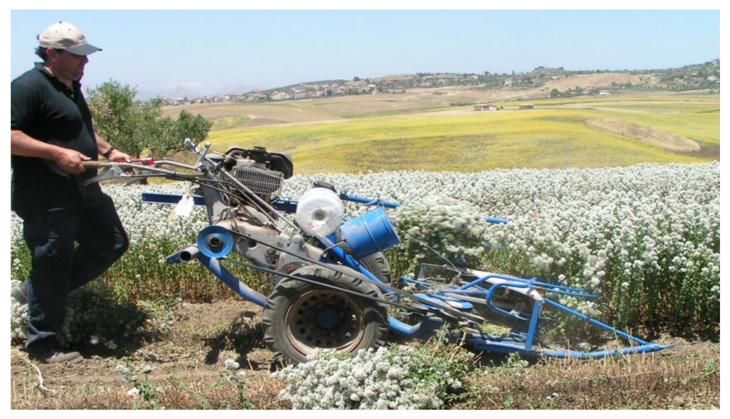 Sustainability 14 02562 g001