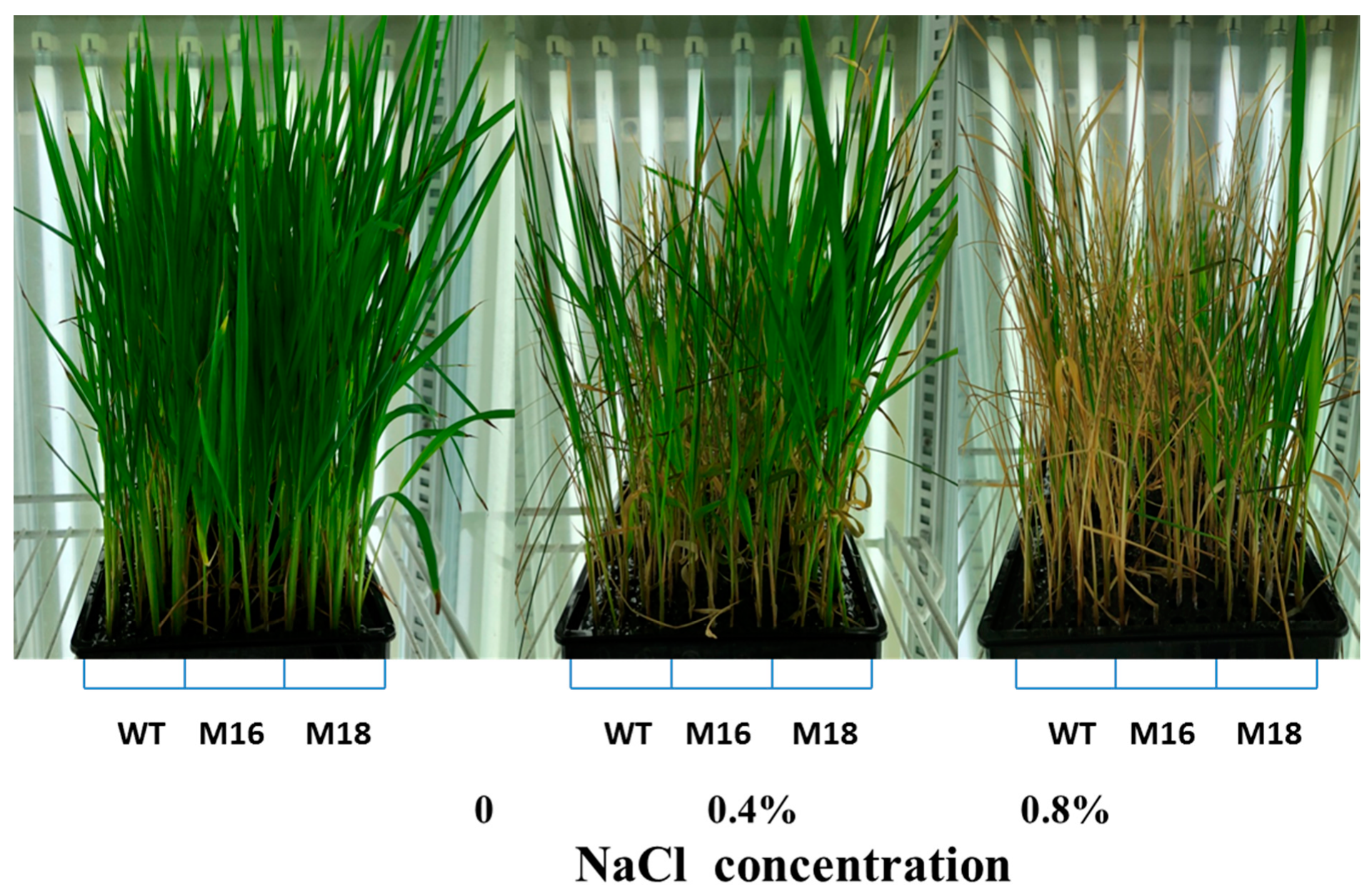 Sustainability 14 02621 g003