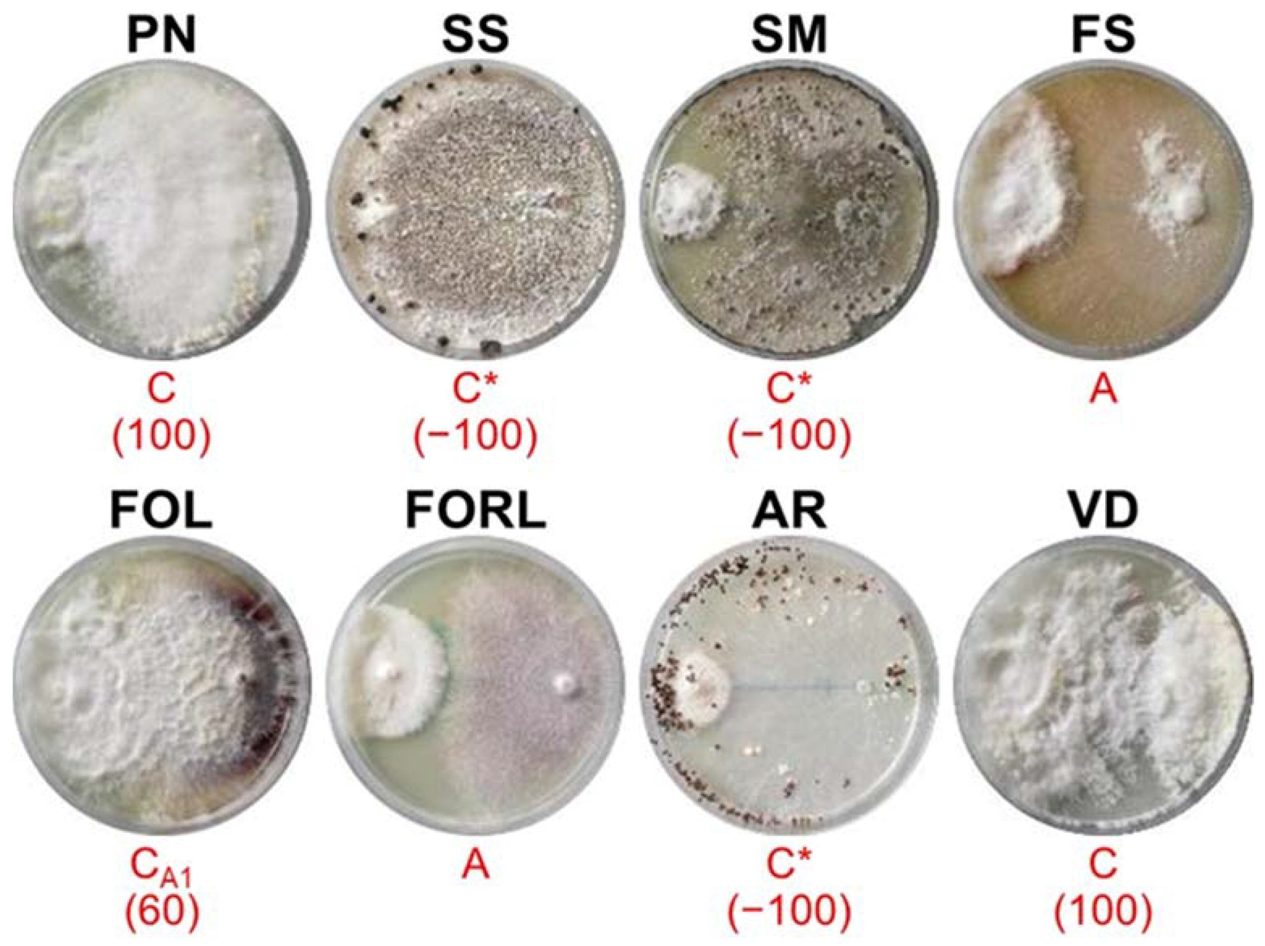 Sustainability 14 02693 g004