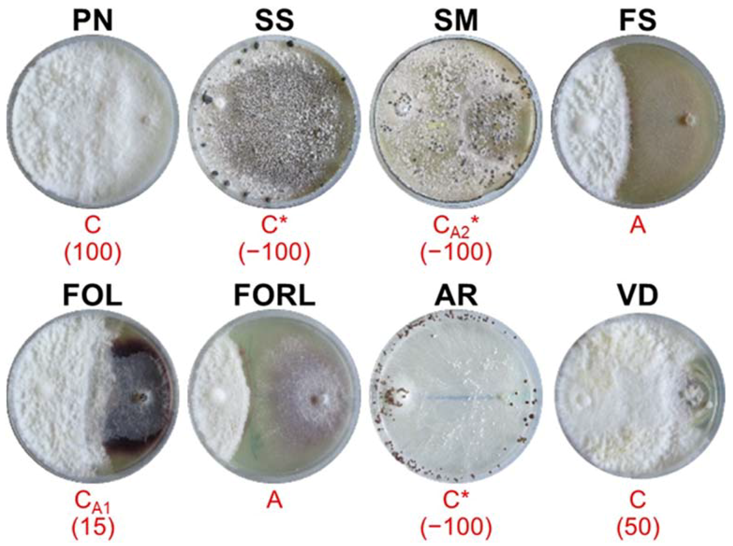 Sustainability 14 02693 g005
