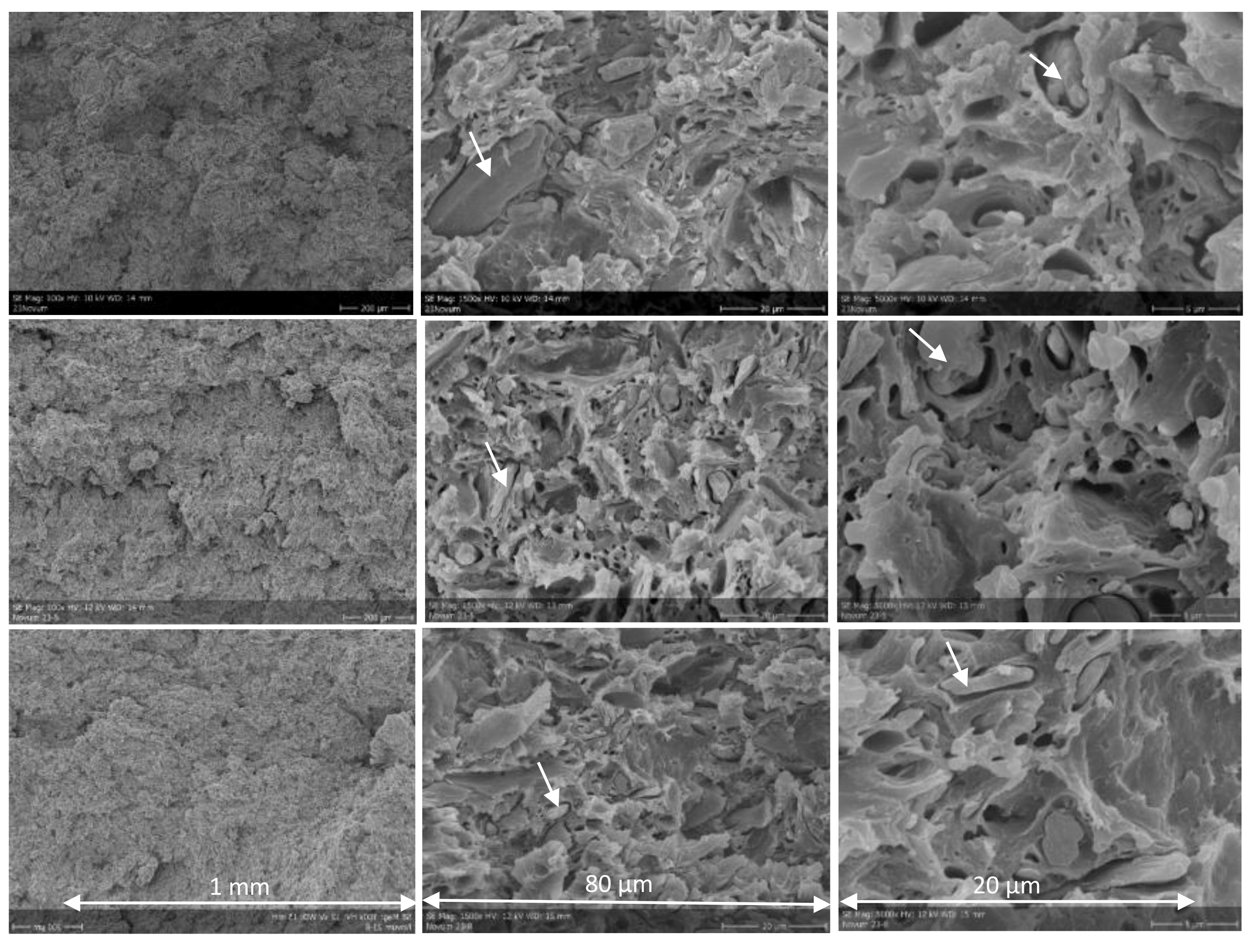 Sustainability 14 02734 g003