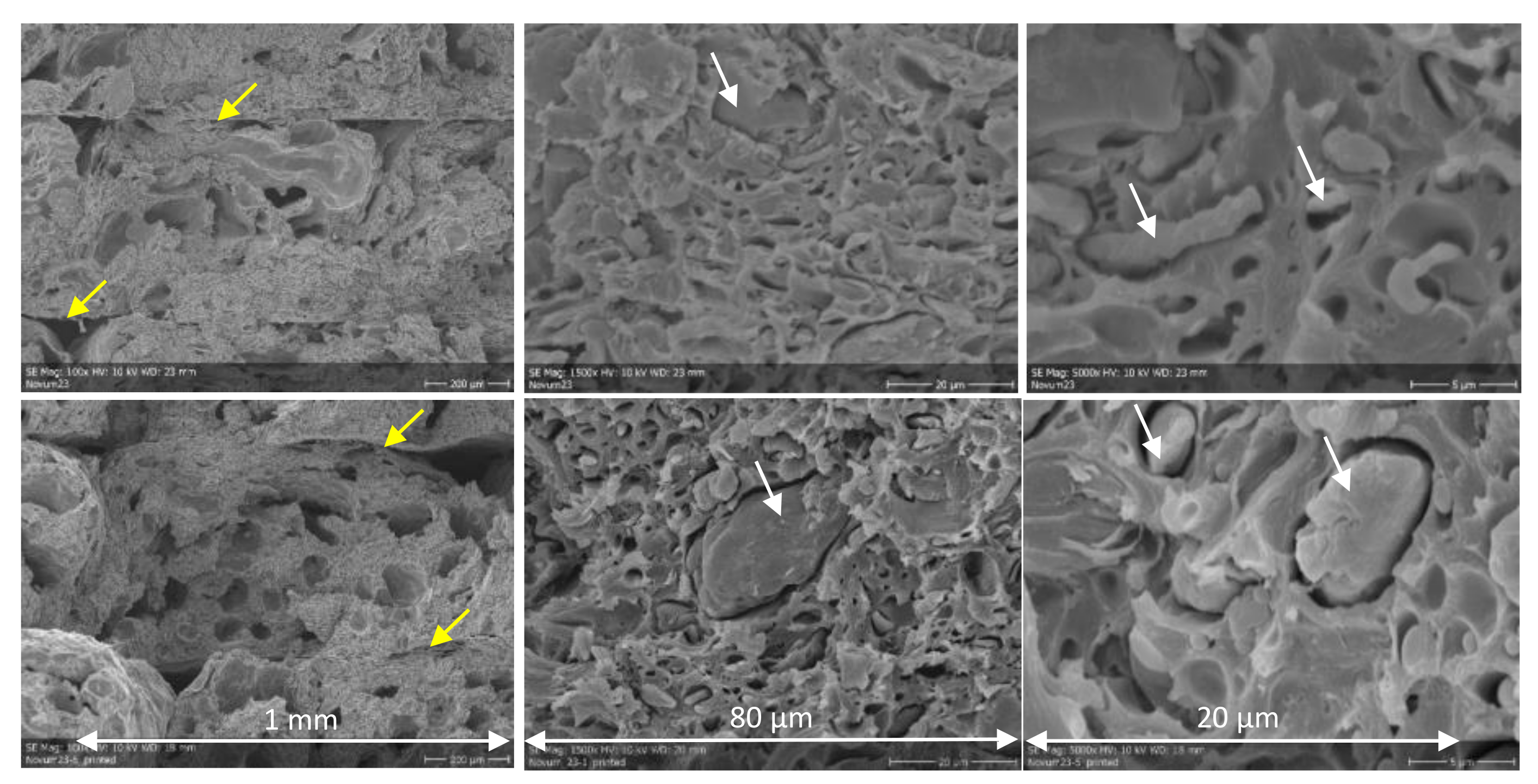 Sustainability 14 02734 g004