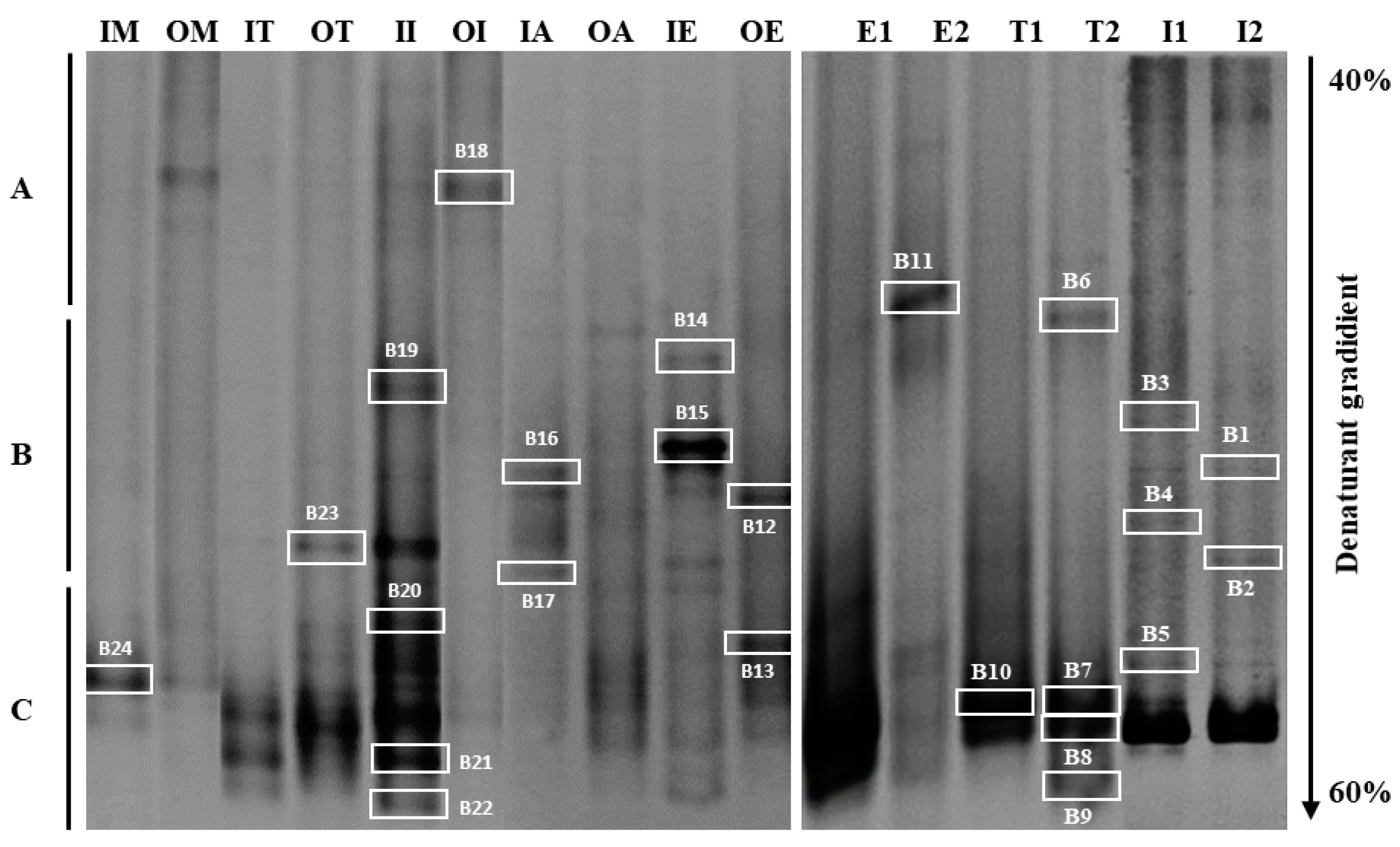 Sustainability 14 02746 g005