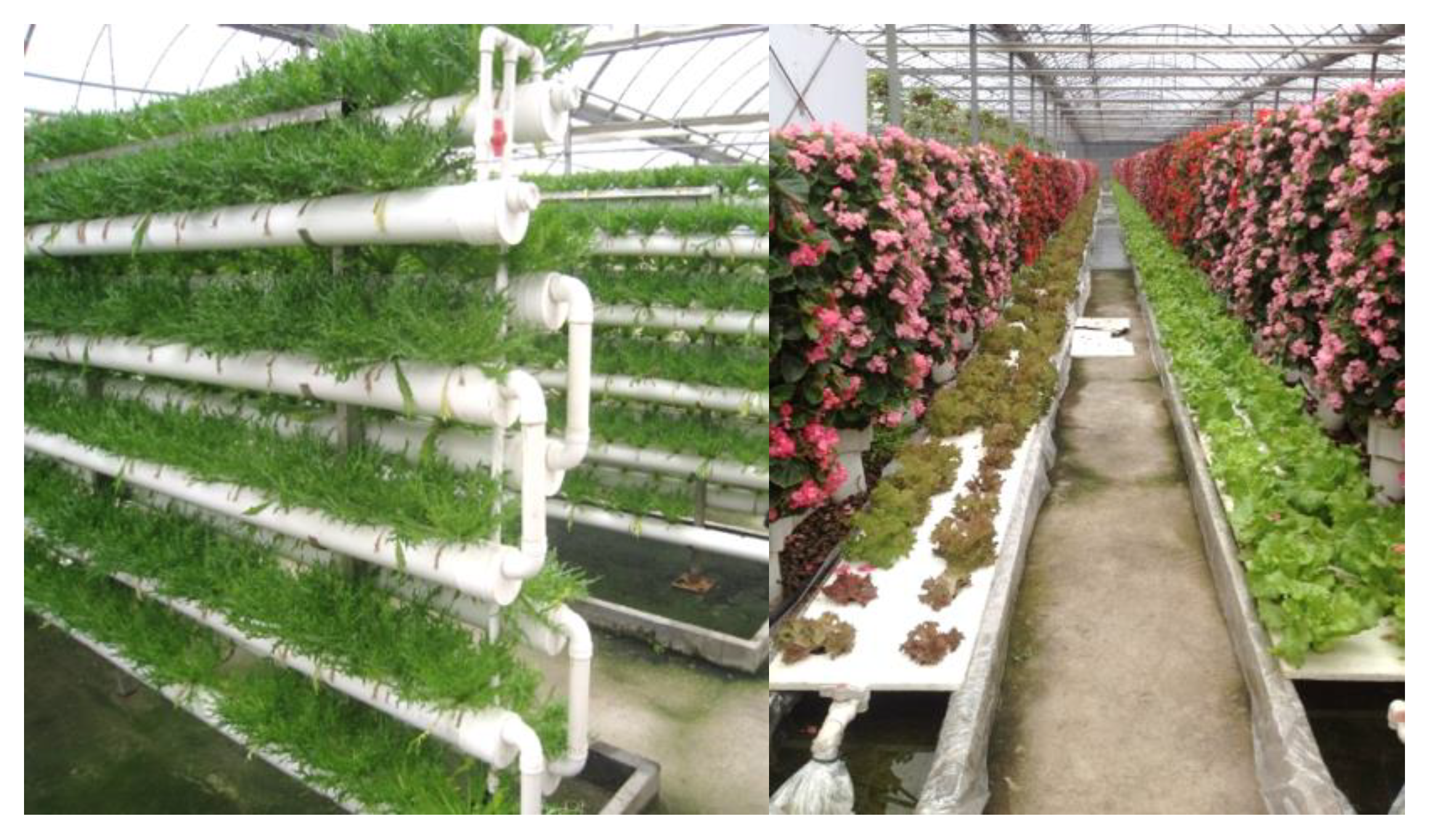 Sustainability 14 02771 g002