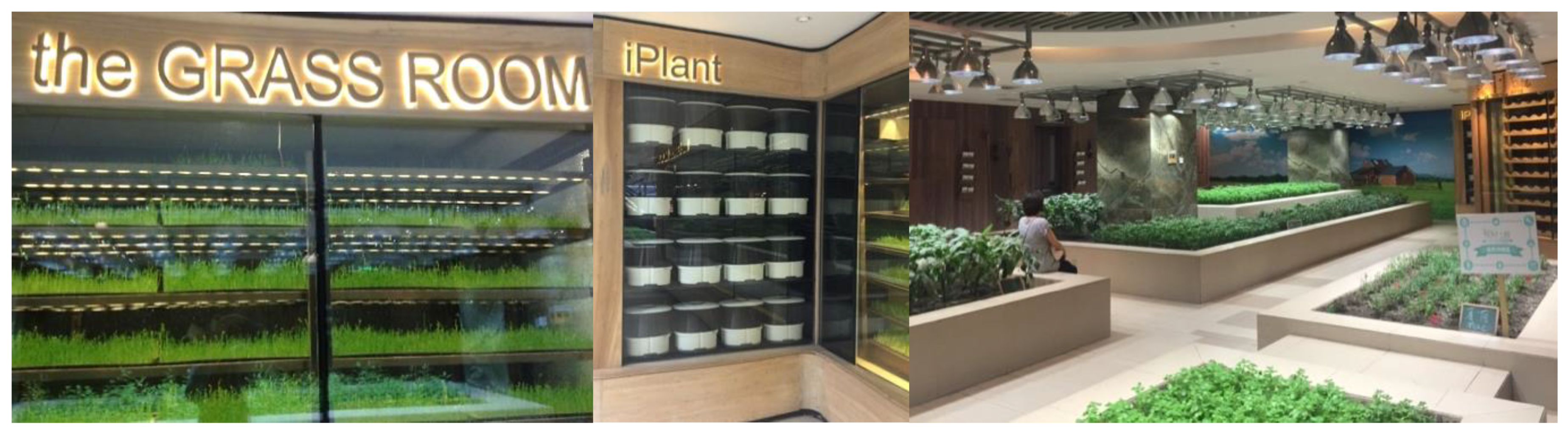 Sustainability 14 02771 g003