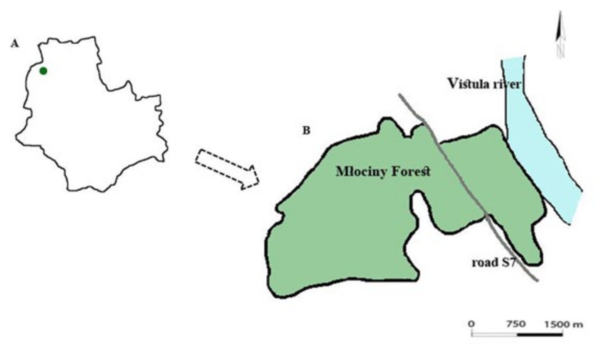 Sustainability 14 02973 g001