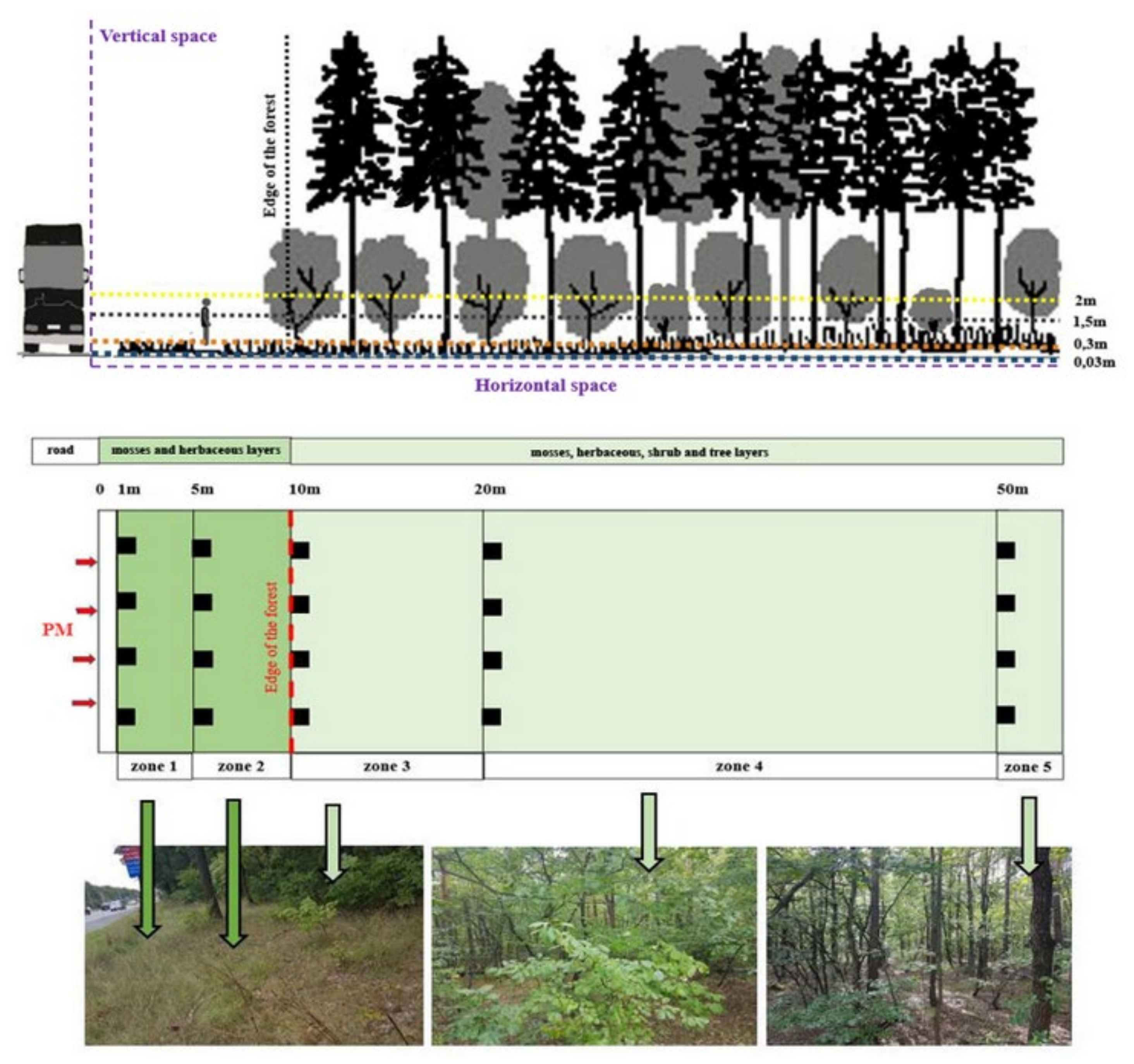 Sustainability 14 02973 g002