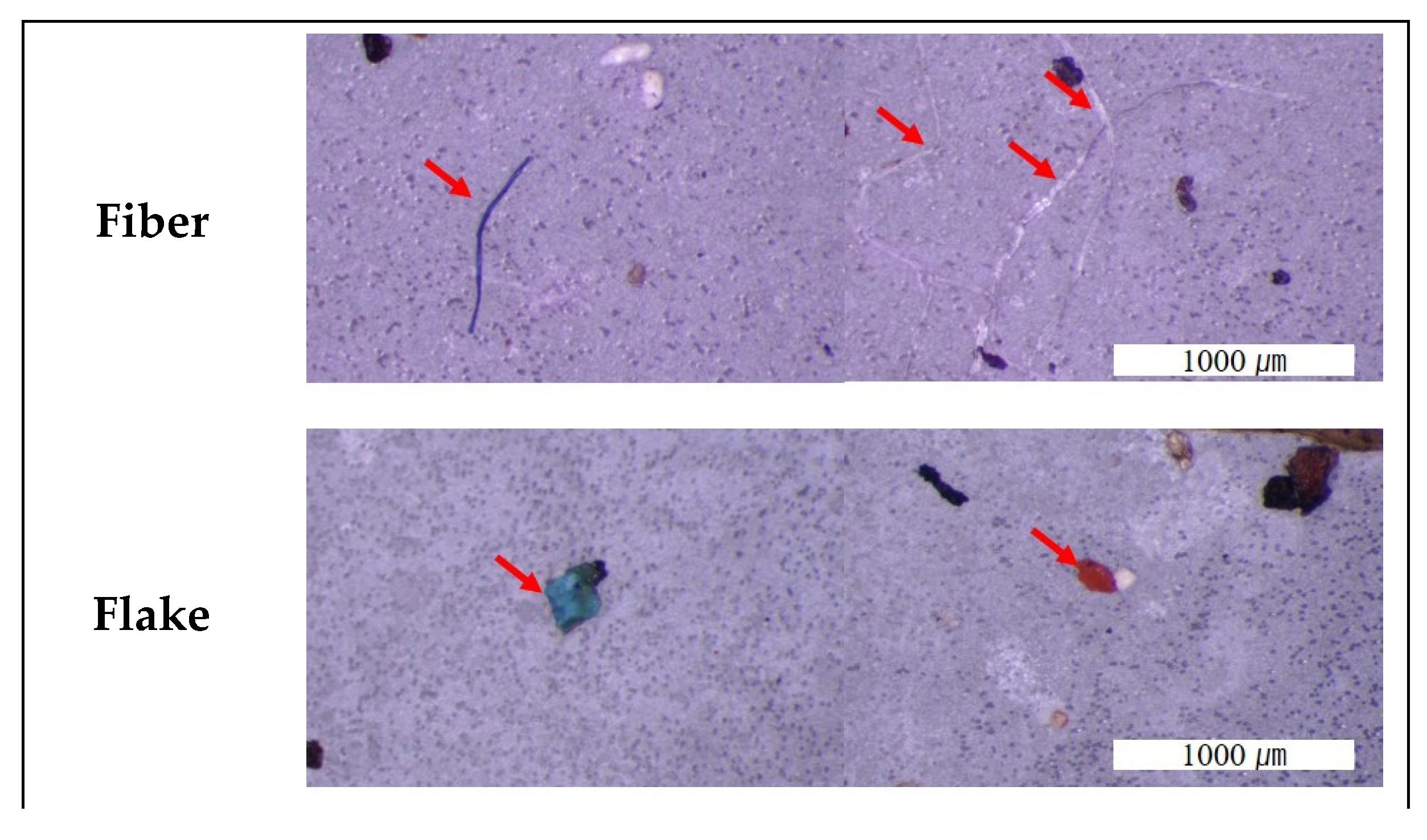 Sustainability 14 03006 g004a