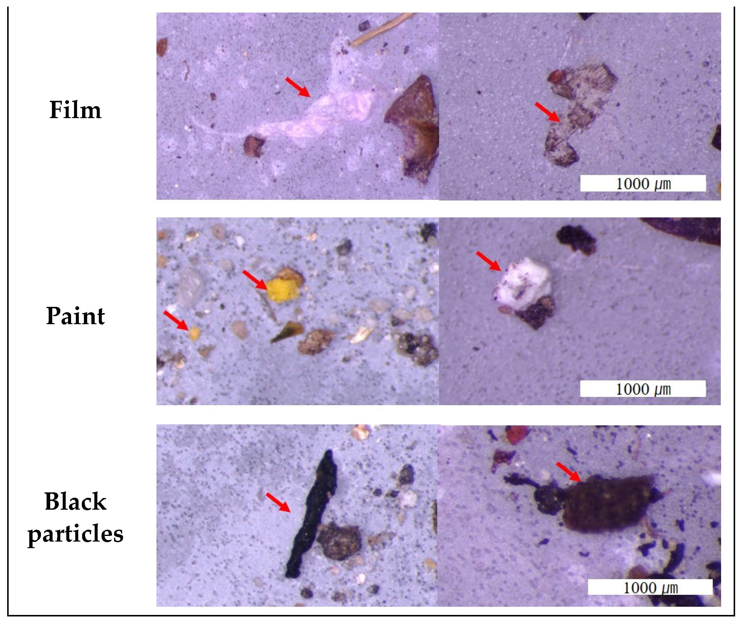 Sustainability 14 03006 g004b