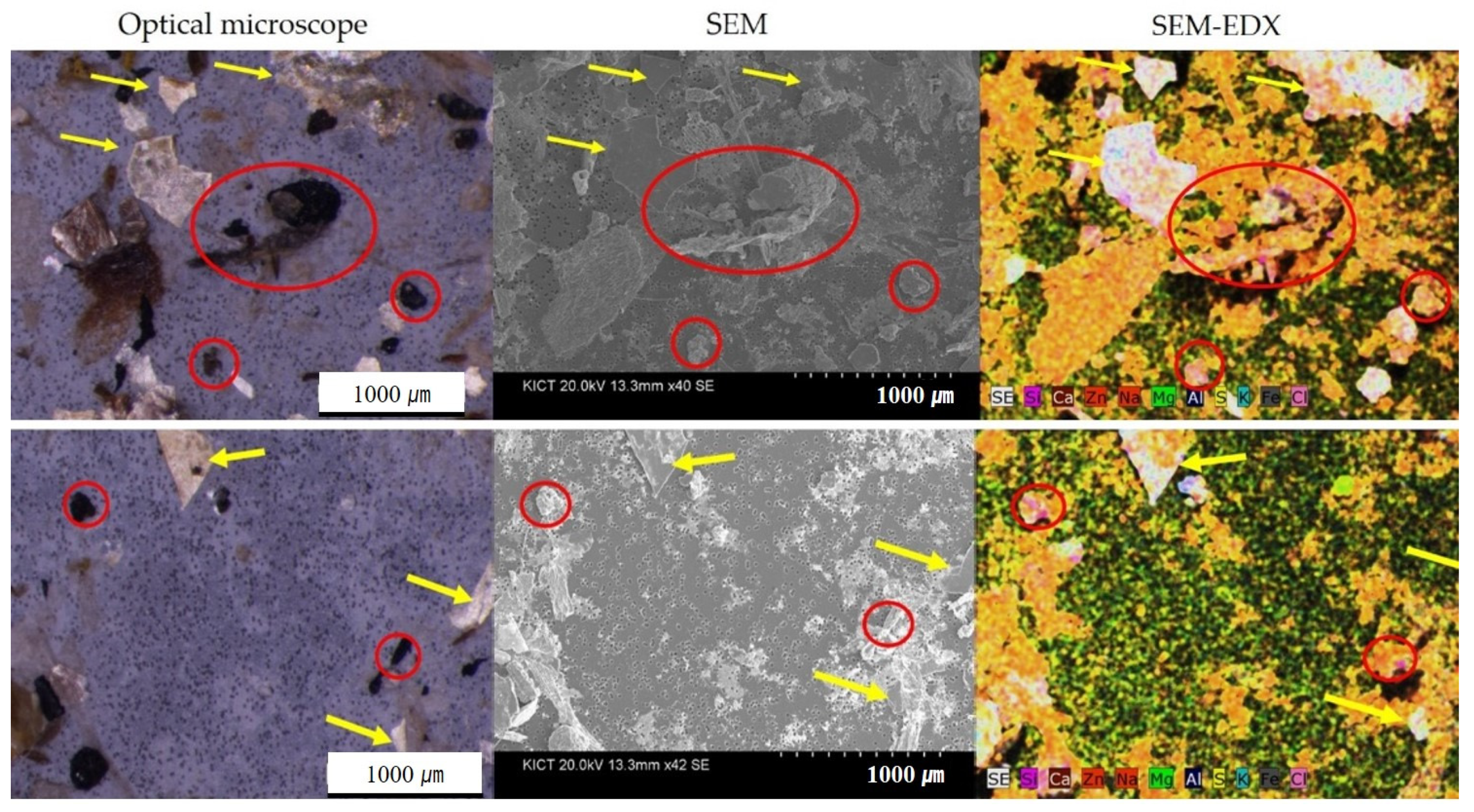 Sustainability 14 03006 g006