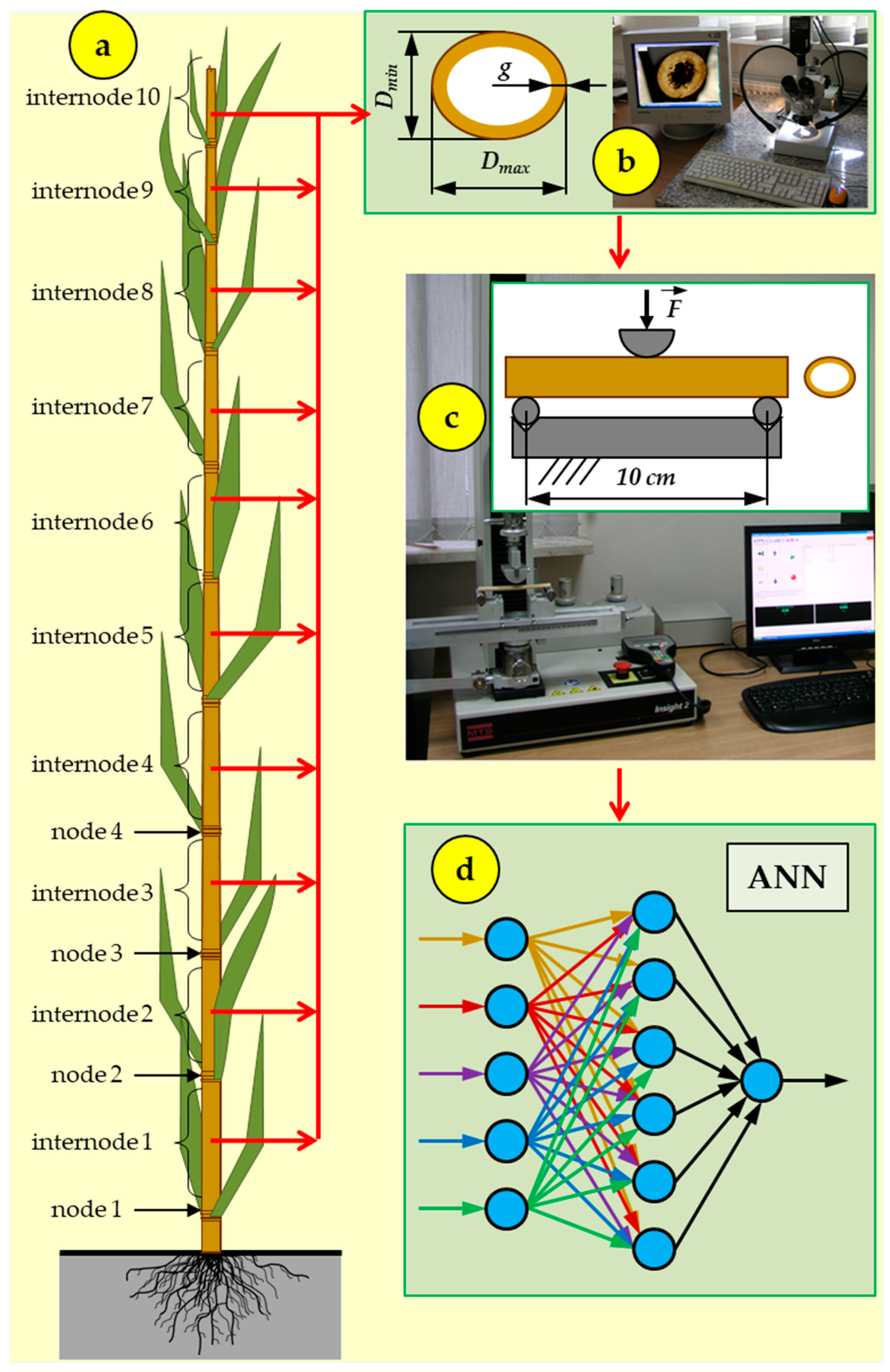 Sustainability 14 03062 g001