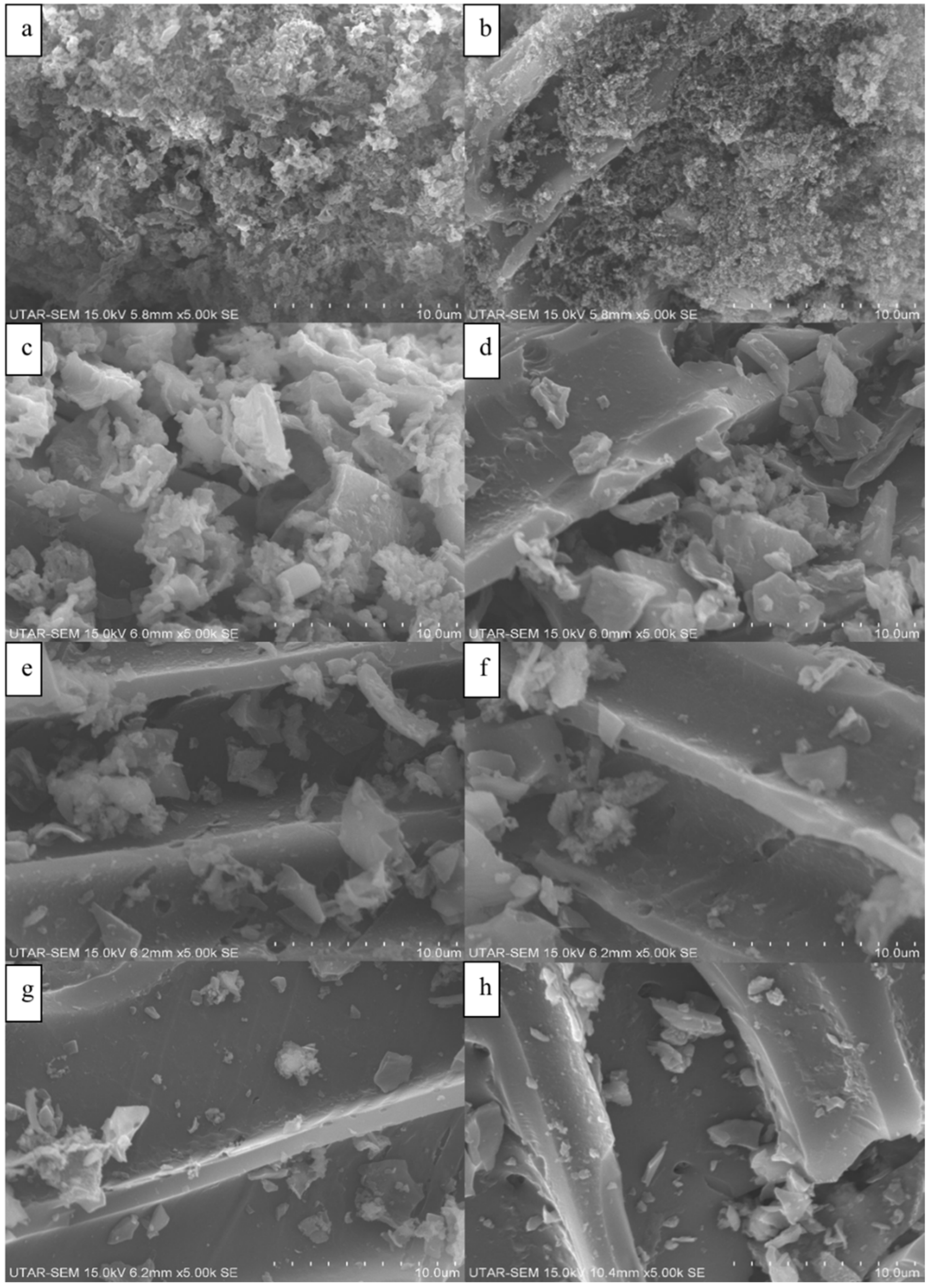 Sustainability 14 03244 g002
