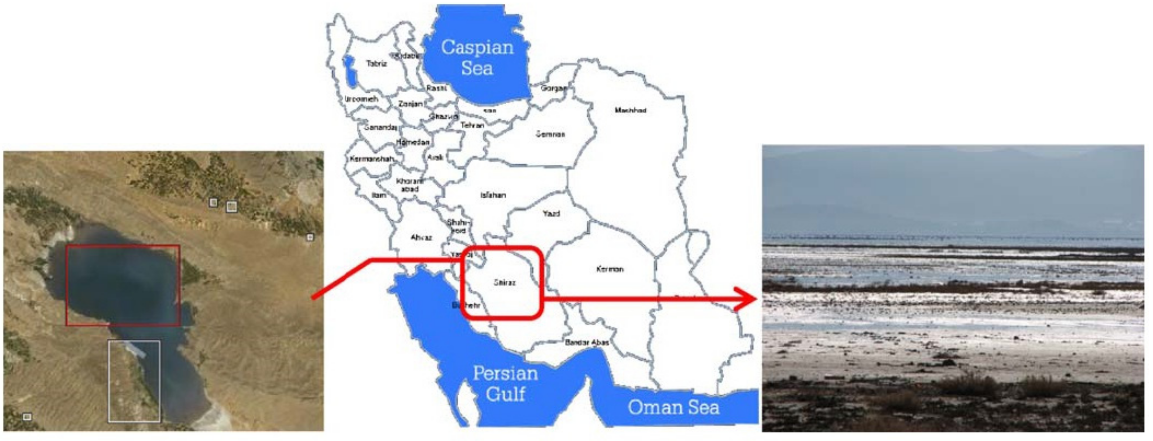 Sustainability 14 03284 g004 Sustainability 14 03284 g004